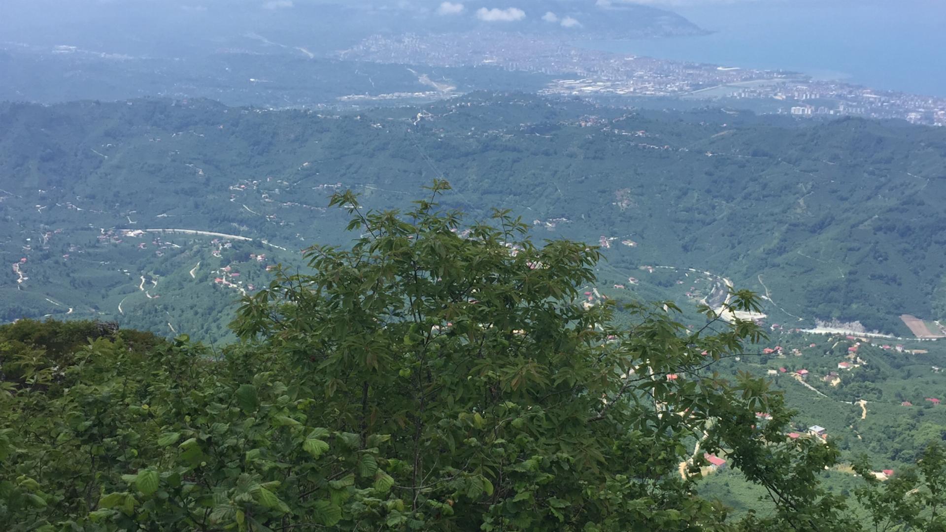 Yoroz Orman Parkı