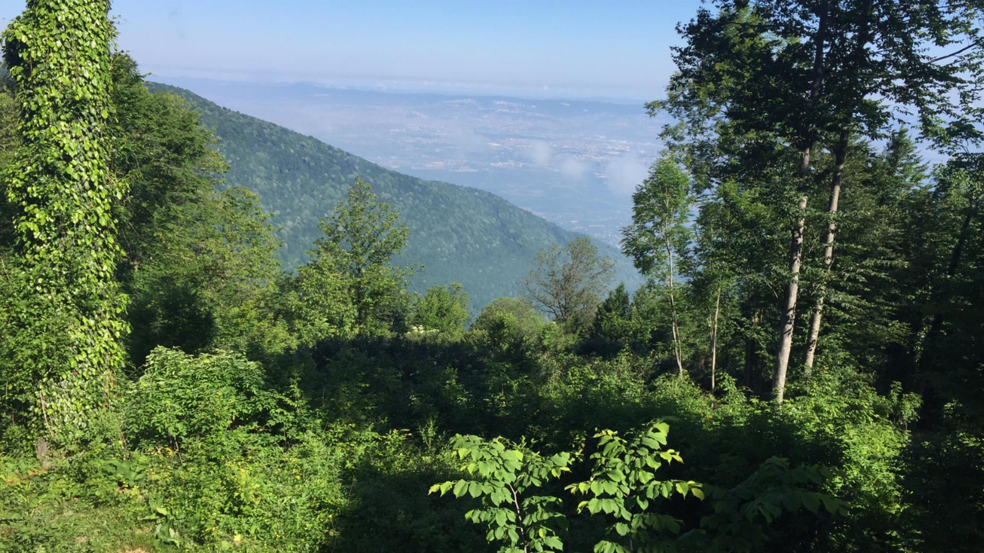 Can Çekti Orman Parkı 