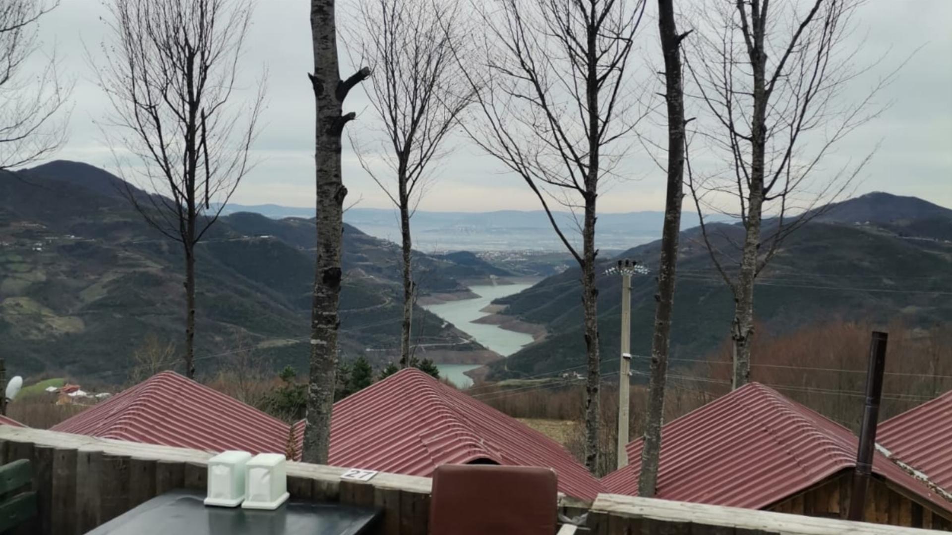 Alartı Orman Parkı 