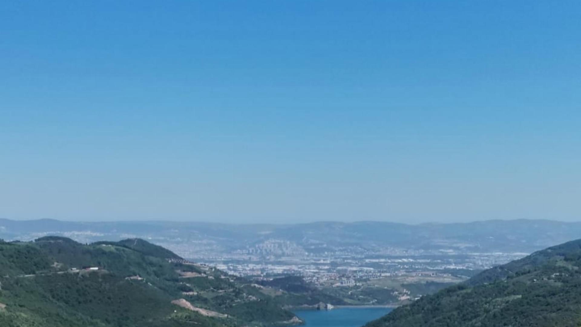 Alartı Orman Parkı