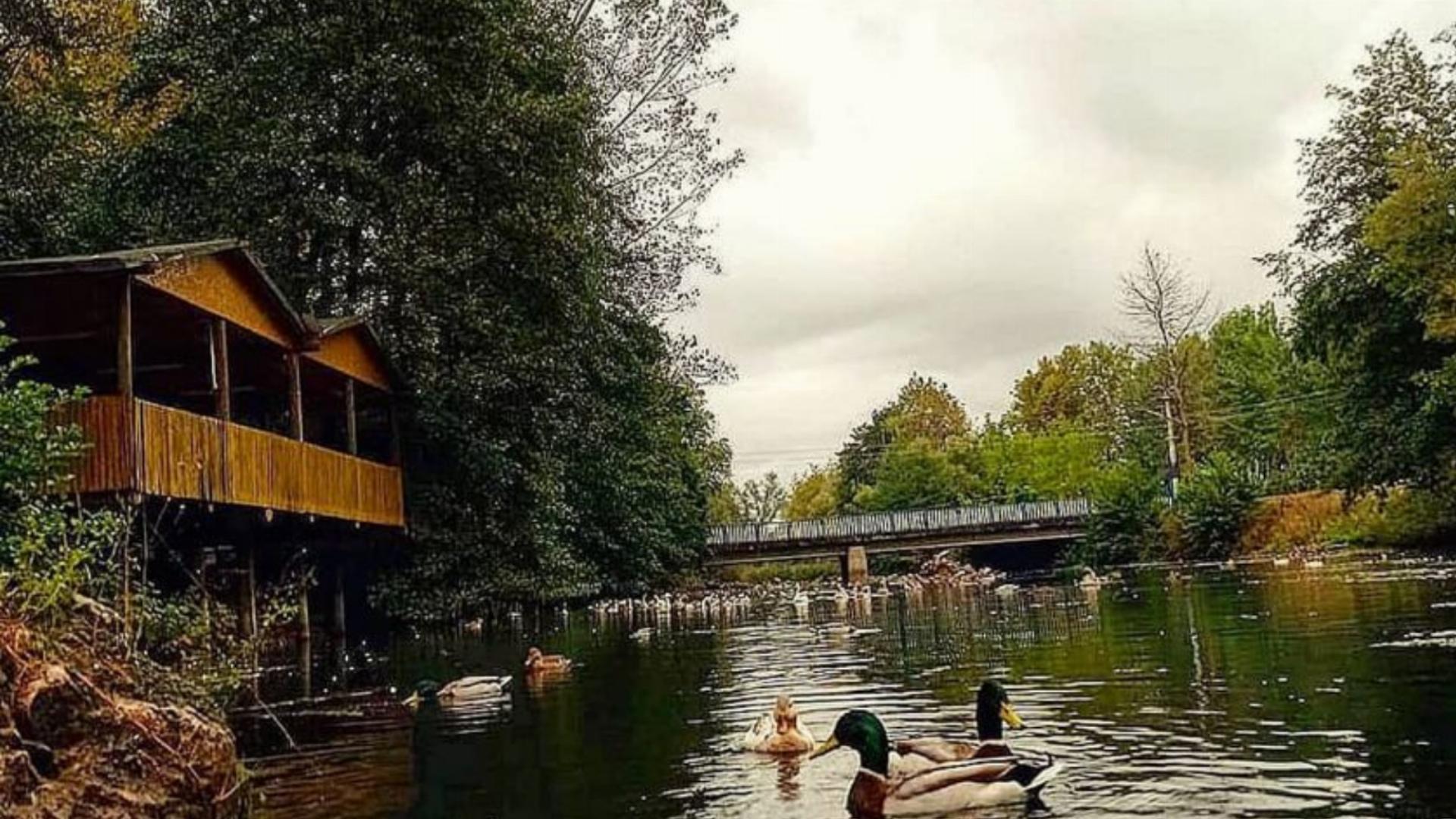 Yuvacık Paşadağ Orman Parkı 