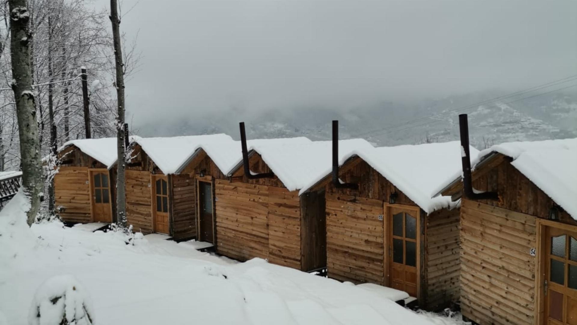 Alartı Orman Parkı