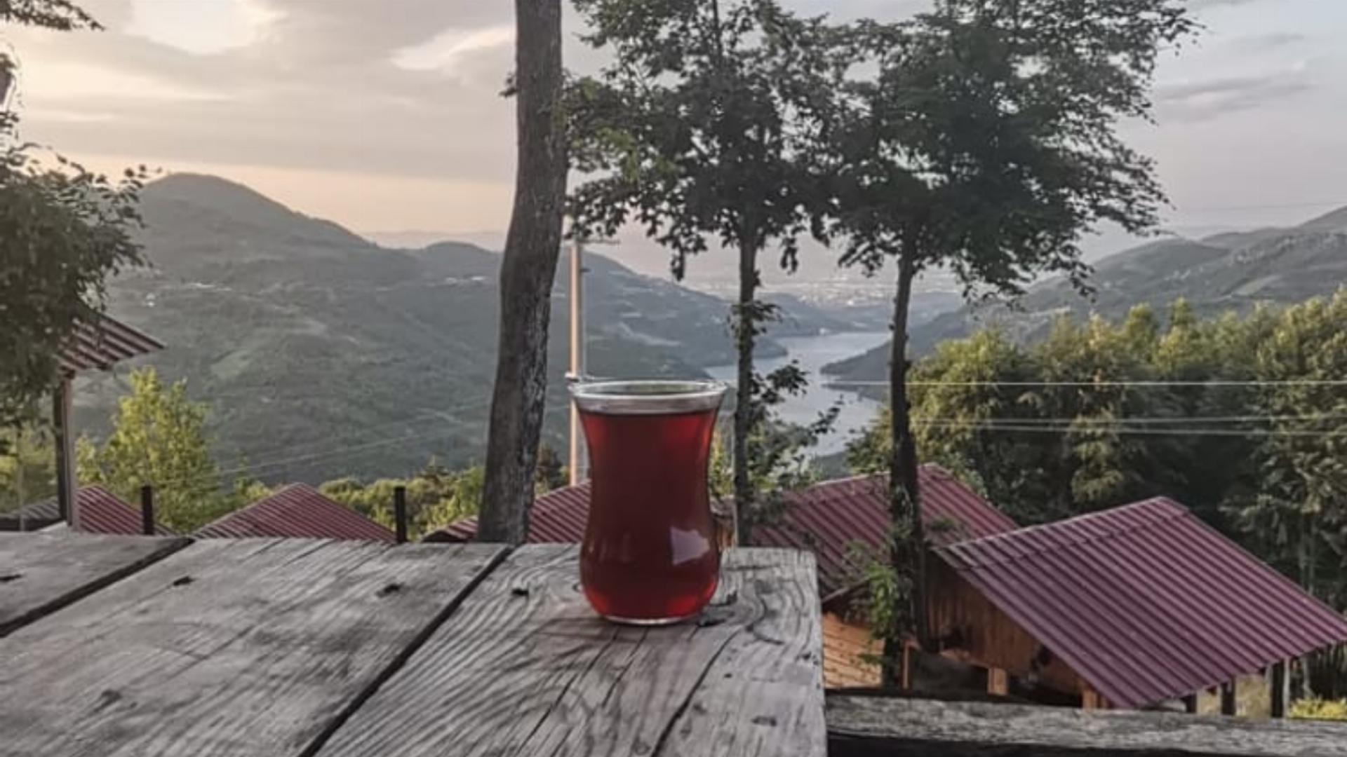 Alartı Orman Parkı