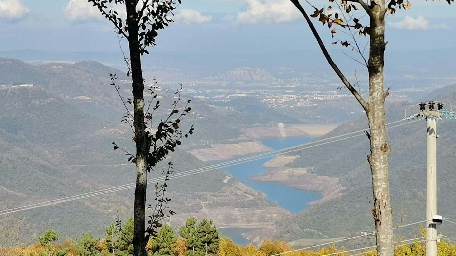 Alartı Orman Parkı