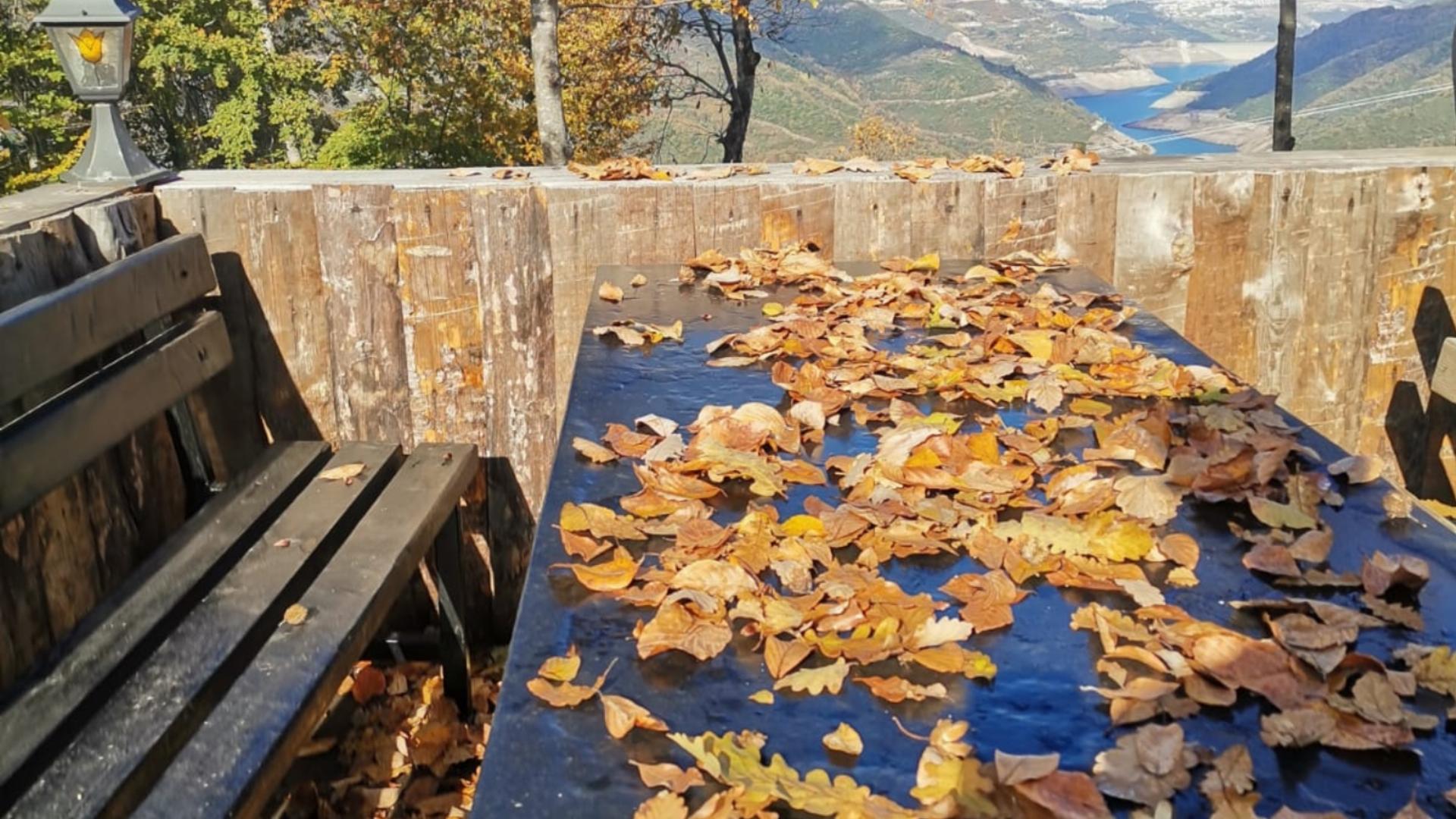 Alartı Orman Parkı