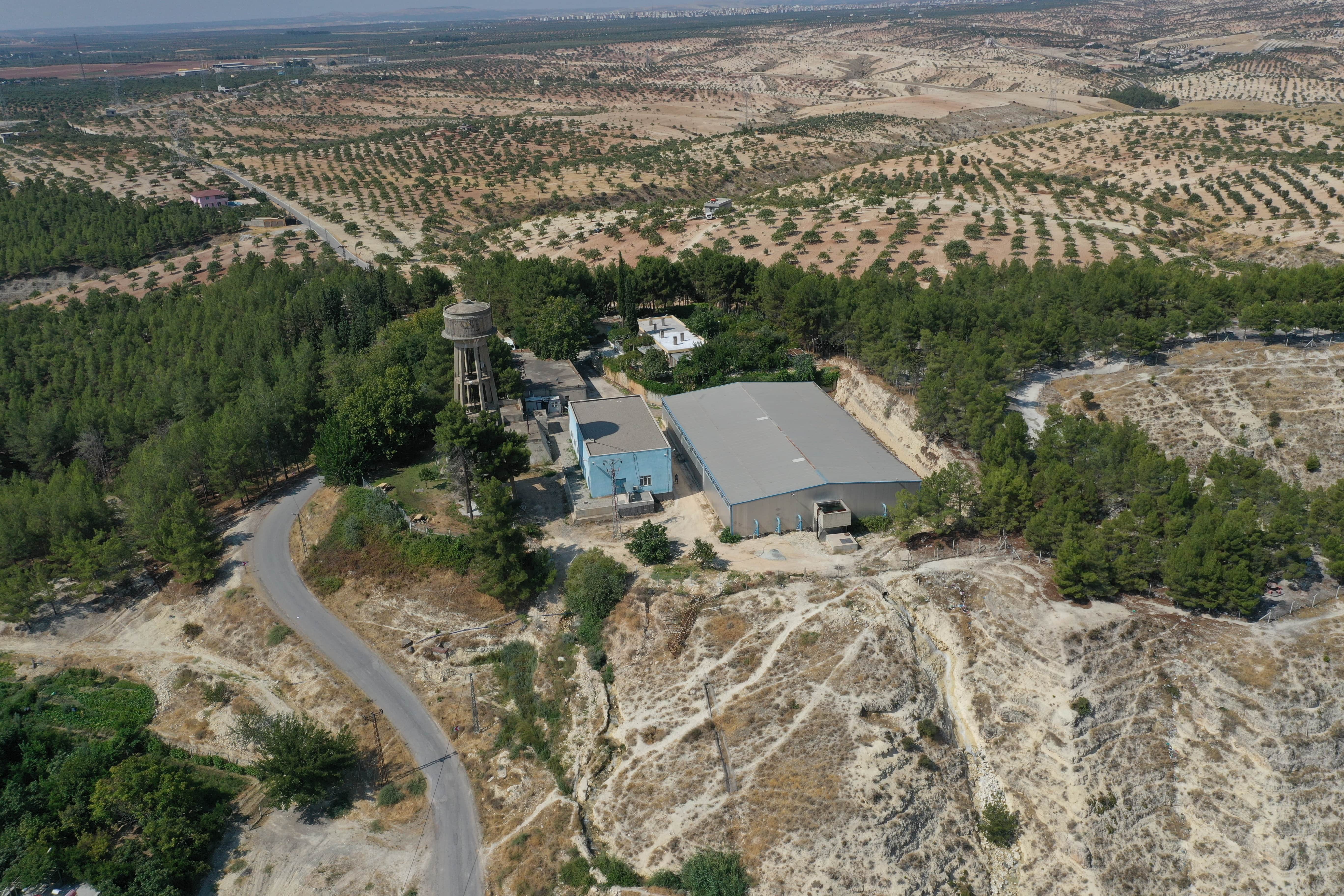 Belkıs Orman Parkı