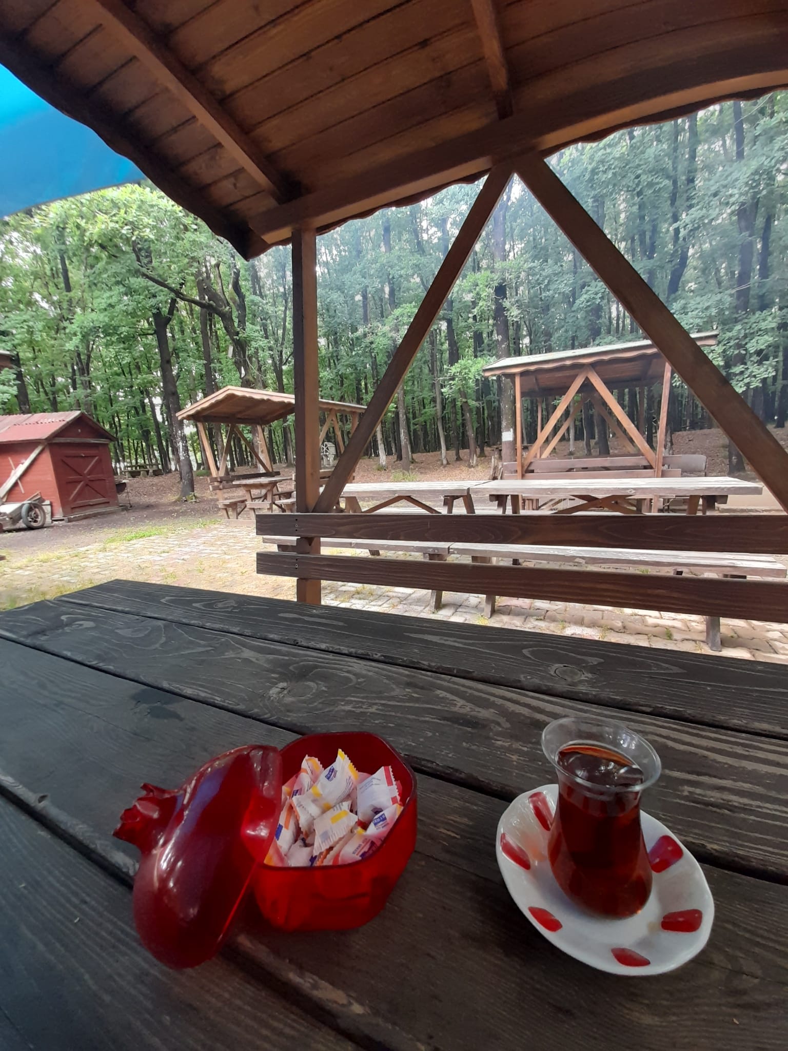 Safaalan Orman Parkı