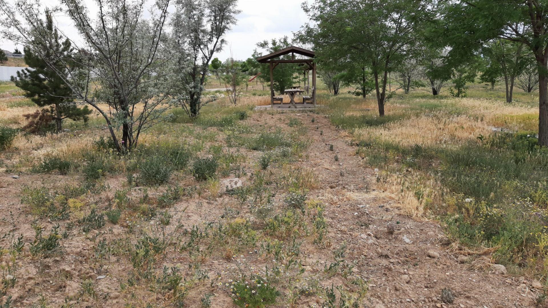 Sandıklı Orman Parkı