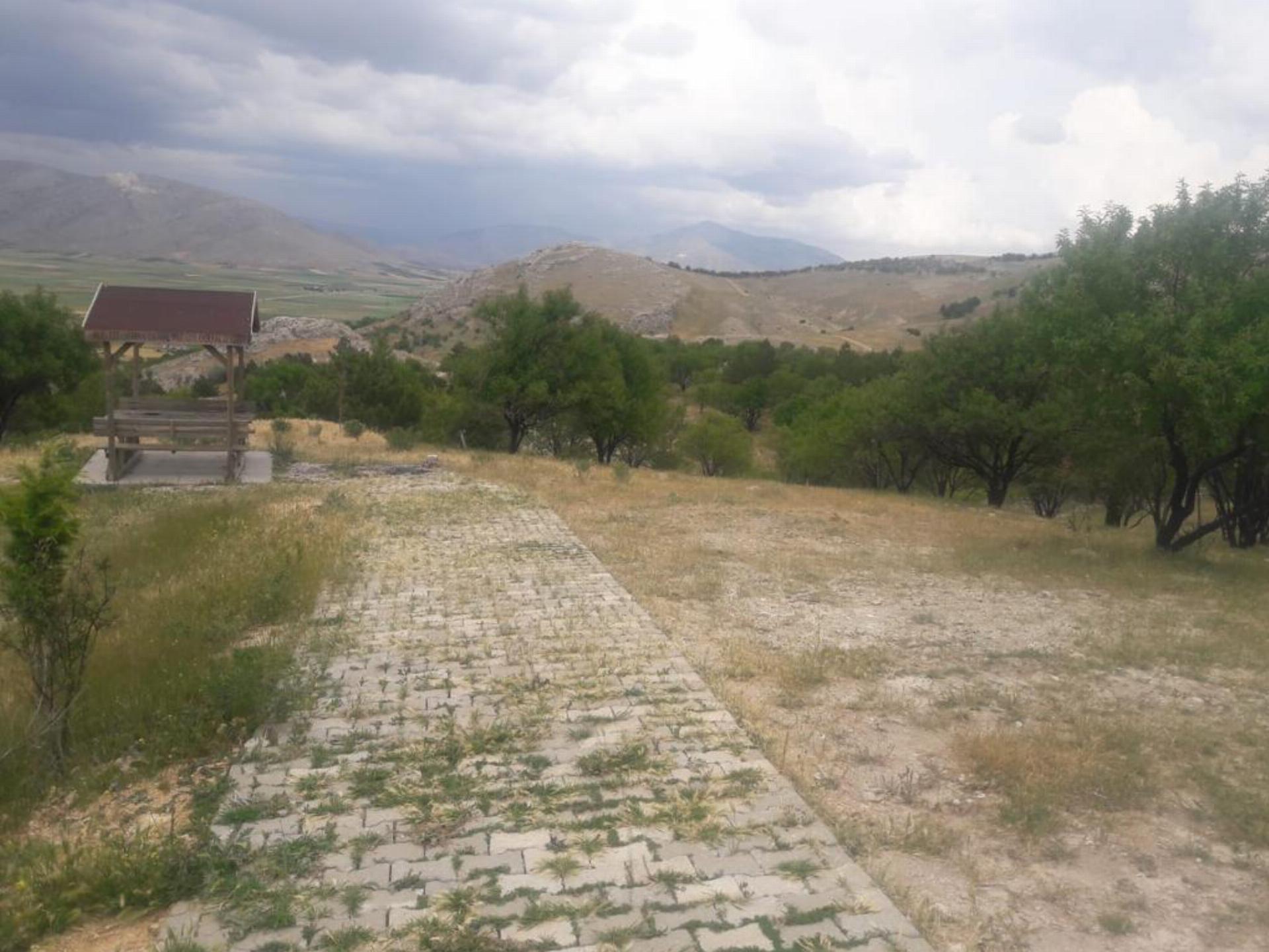 Mollatepe Orman Parkı
