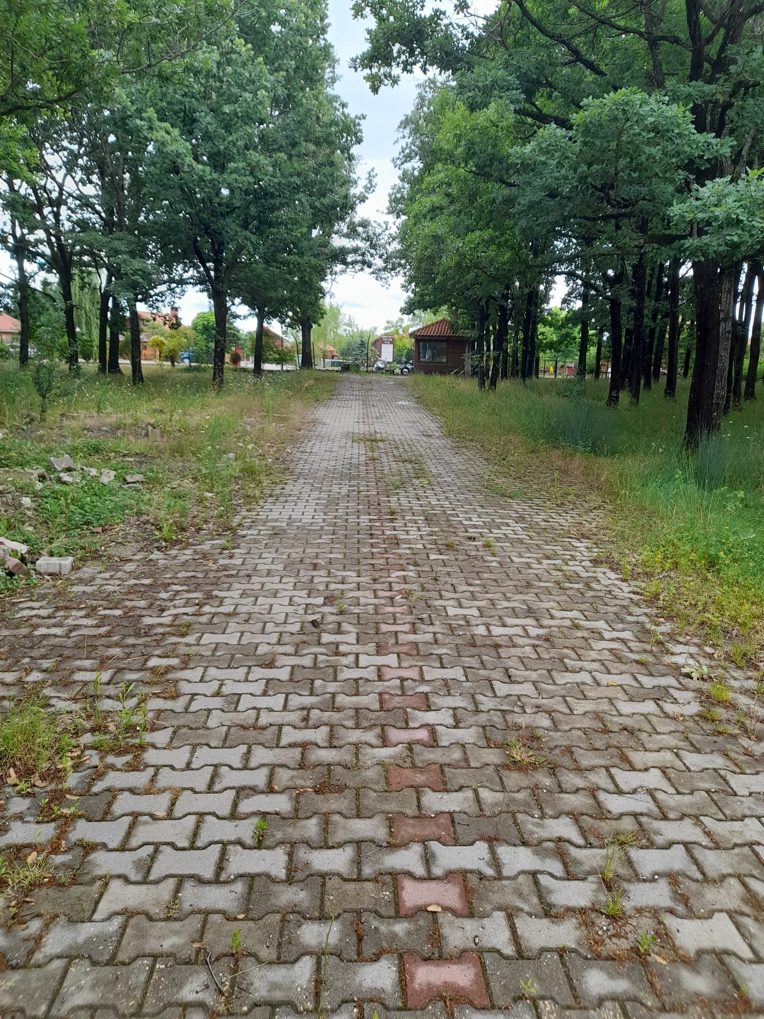 Safaalan Orman Parkı