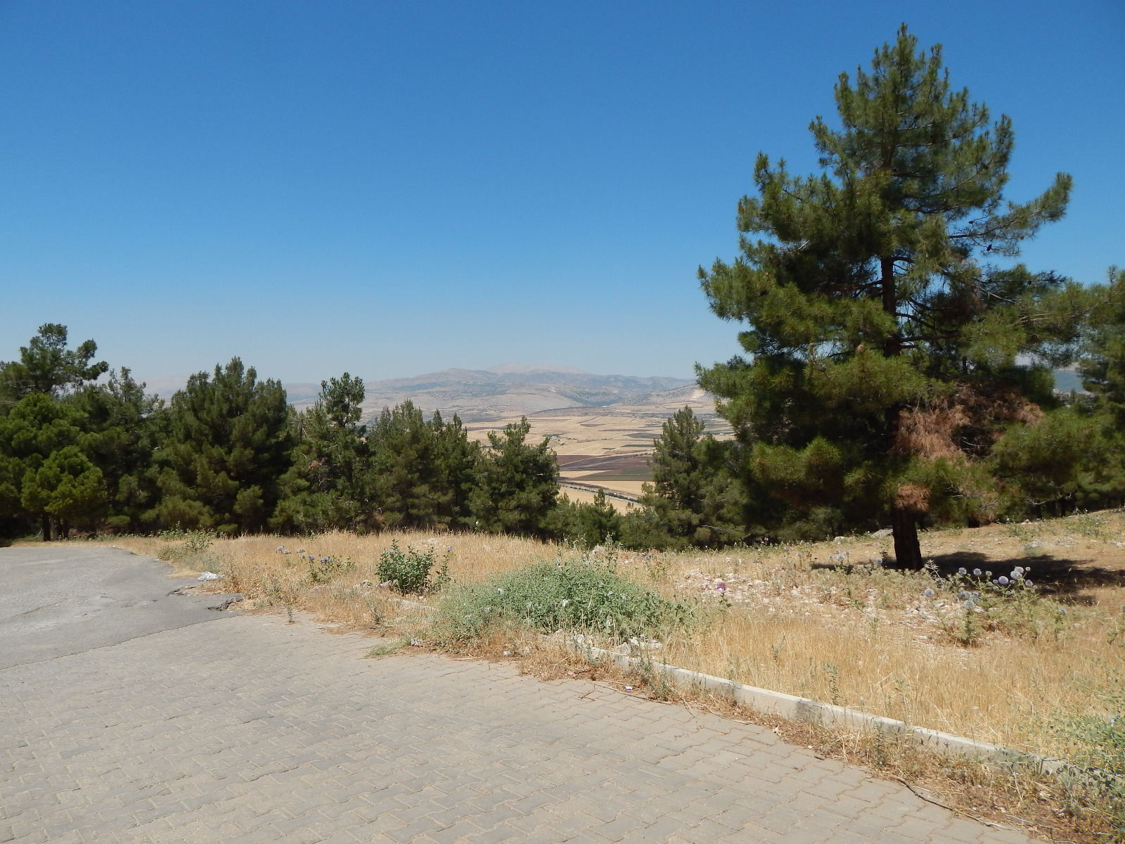 Alidağı Orman Parkı 