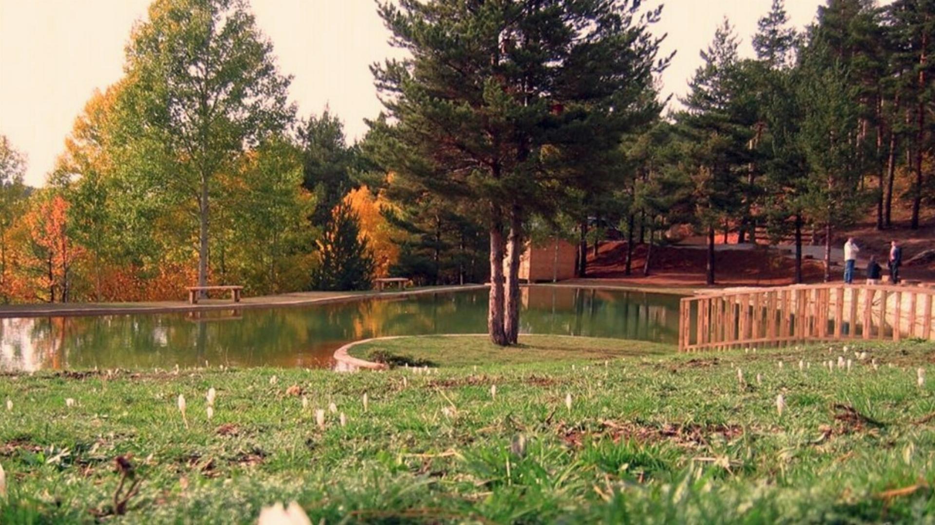 Gümüşhane Orman Parkı
