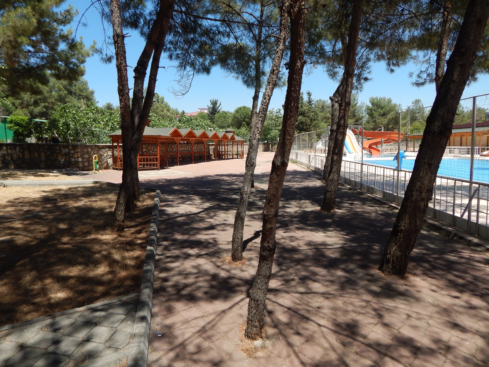 Yeşilkuşak Orman Parkı 