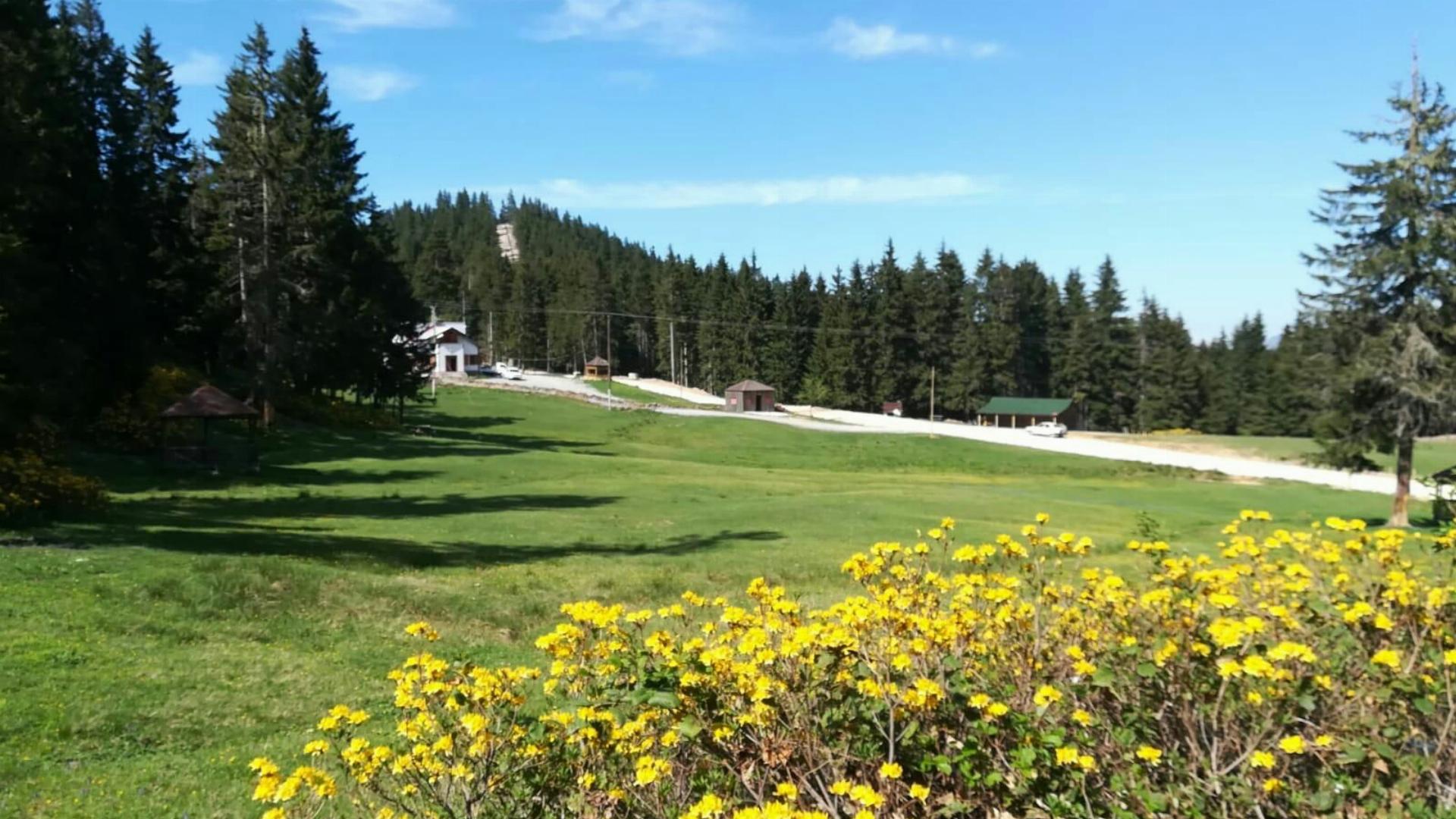 Sazalan Orman Parkı