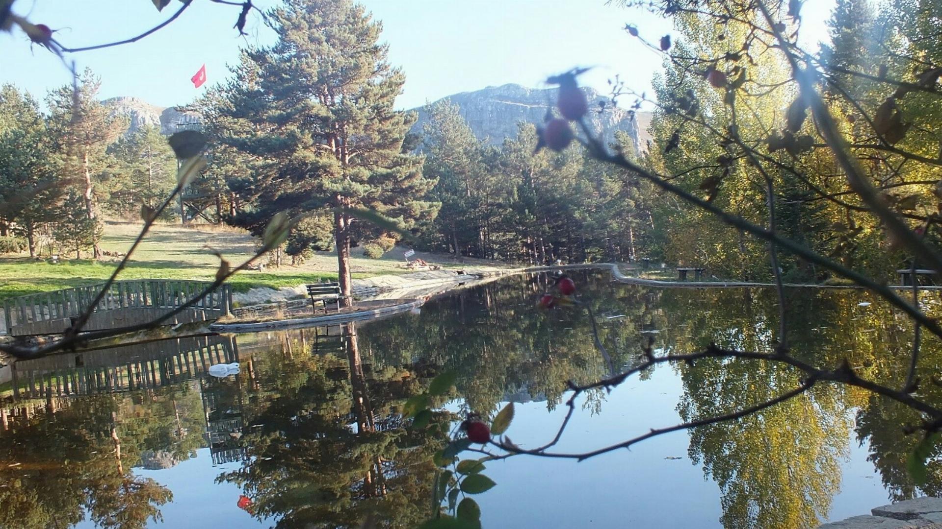 Gümüşhane Orman Parkı