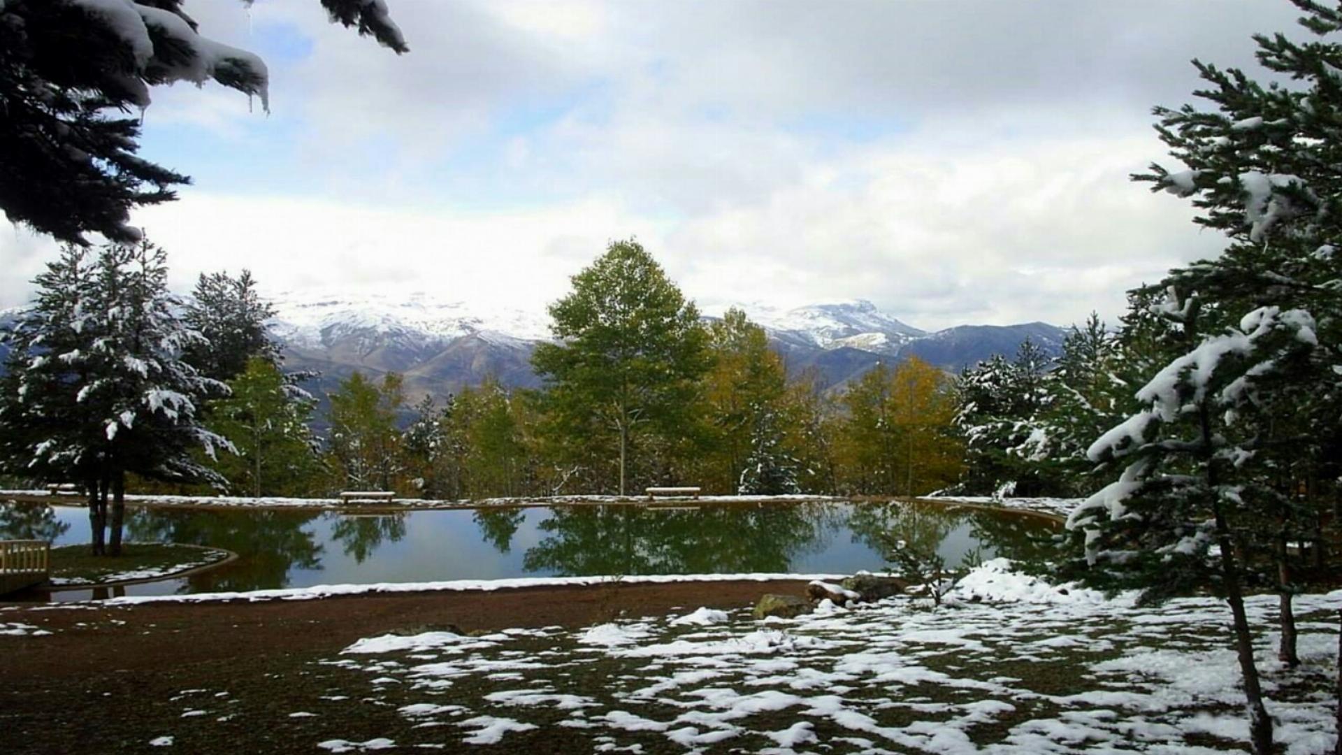 Gümüşhane Orman Parkı