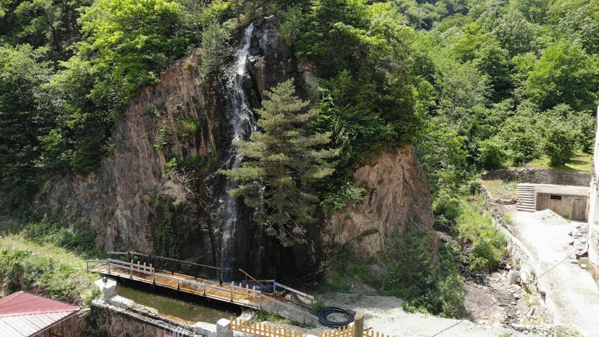 Kamalı Orman Parkı