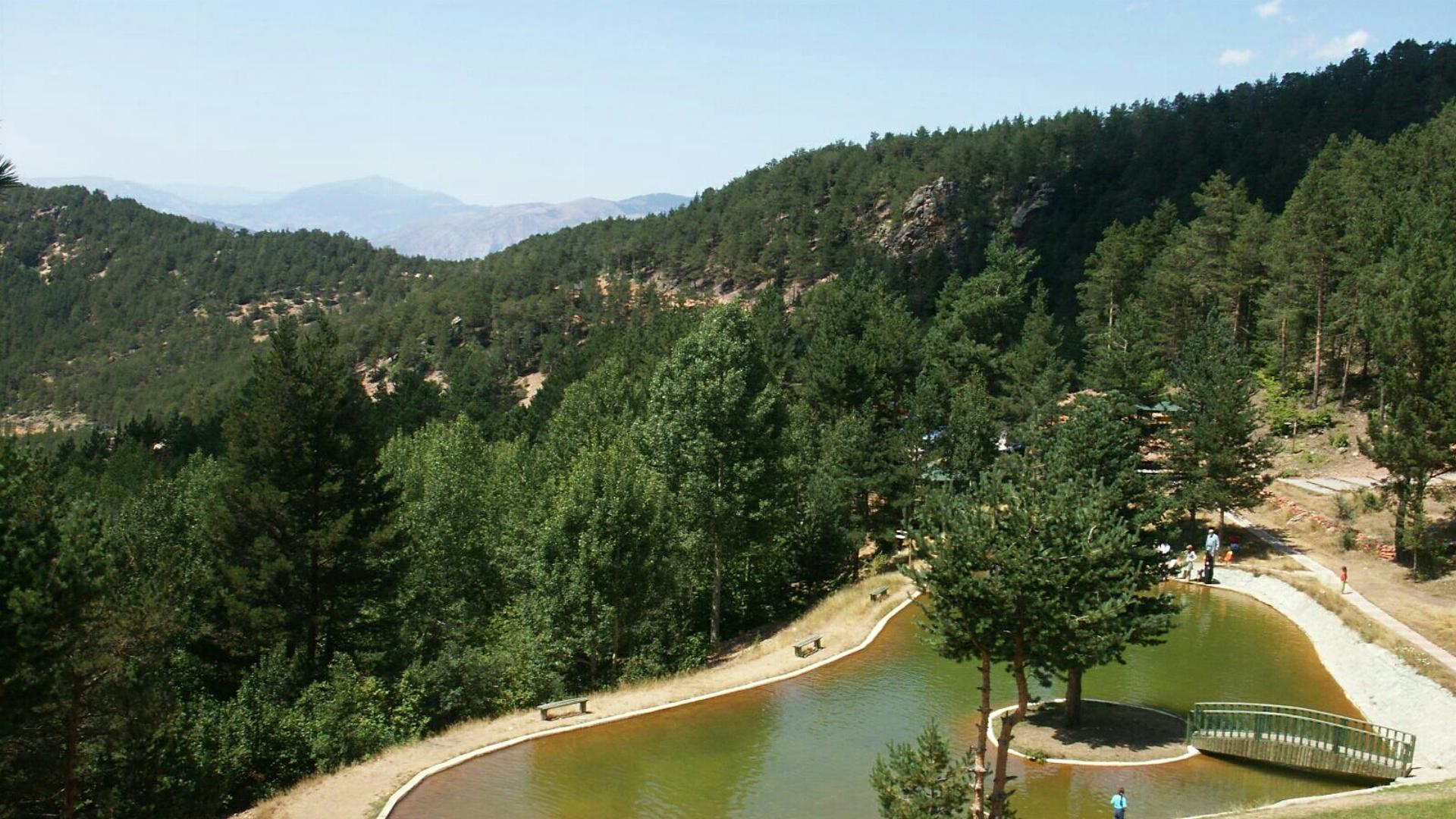 Gümüşhane Orman Parkı 