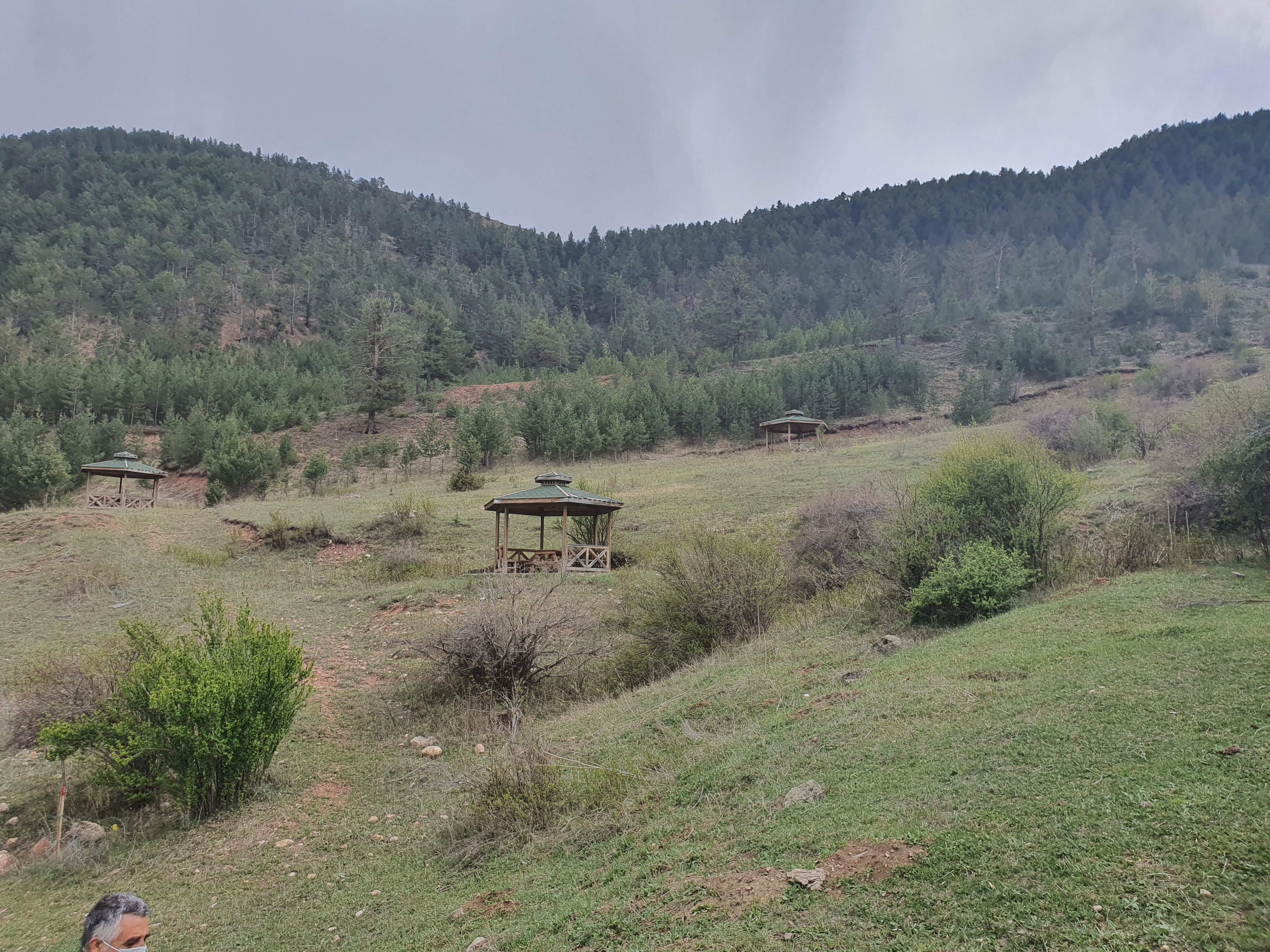 Kabakdüzü Orman Parkı