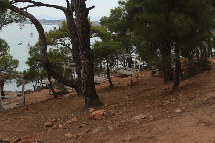 Paşalimanı Orman Parkı 