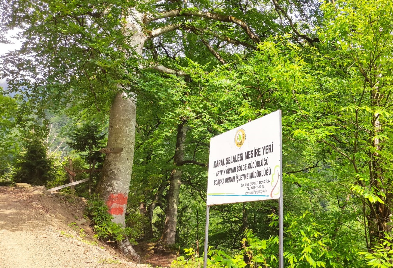 Maral Şelalesi Orman Parkı
