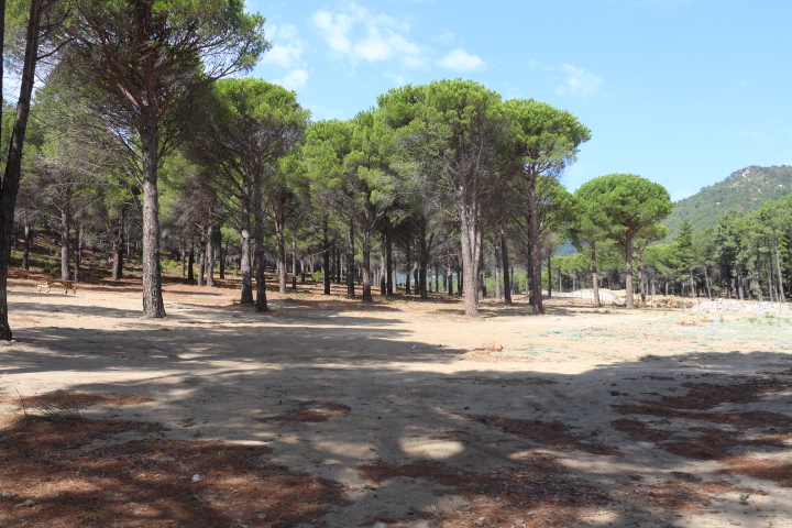 Kumluca Orman Parkı
