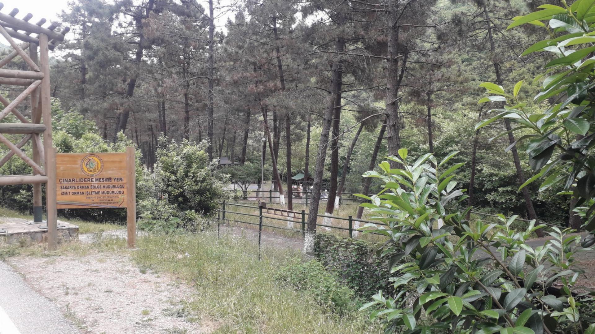 Çınarlıdere Orman Parkı