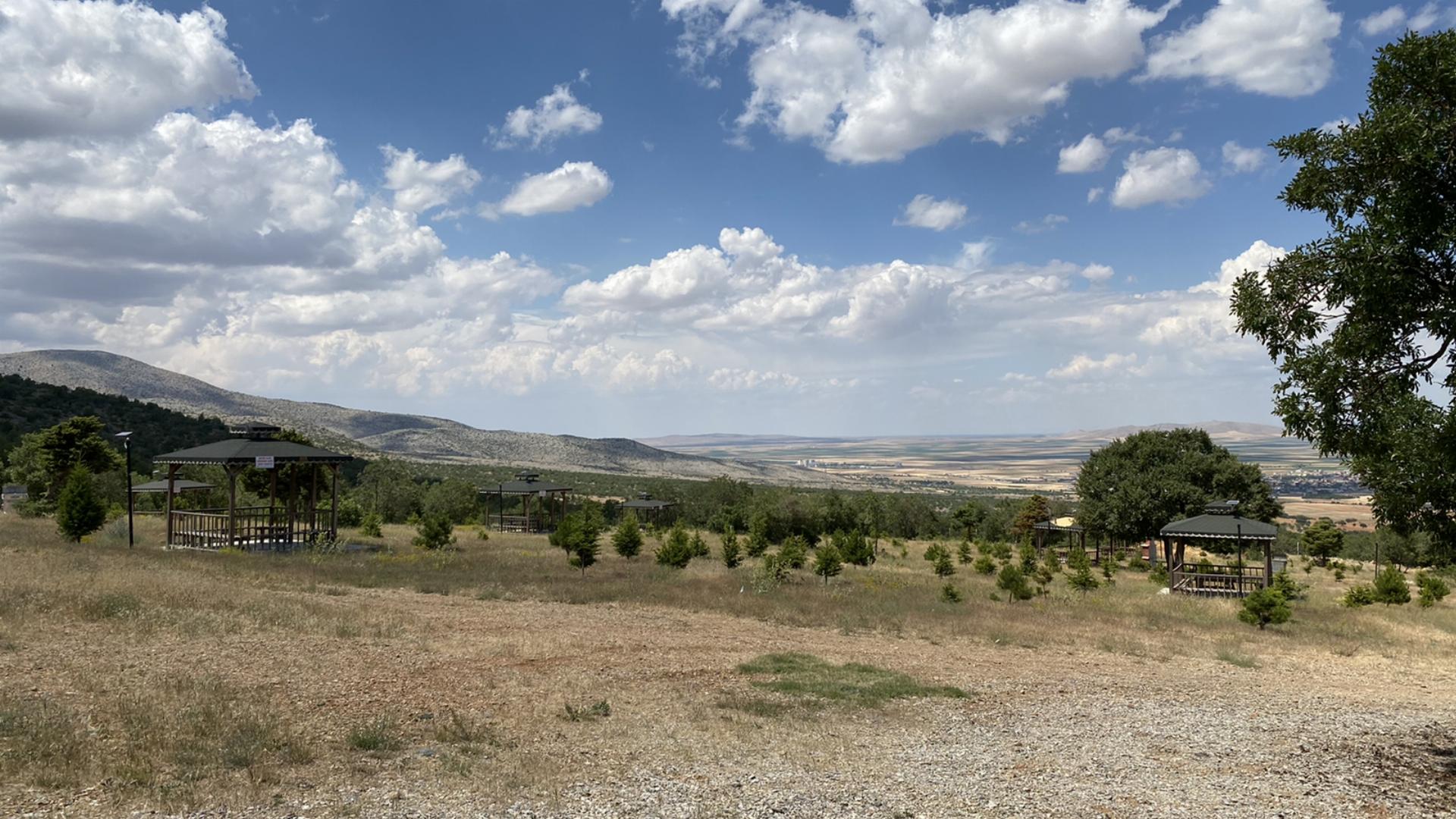 Muammer Fevzi Sarı Orman Parkı