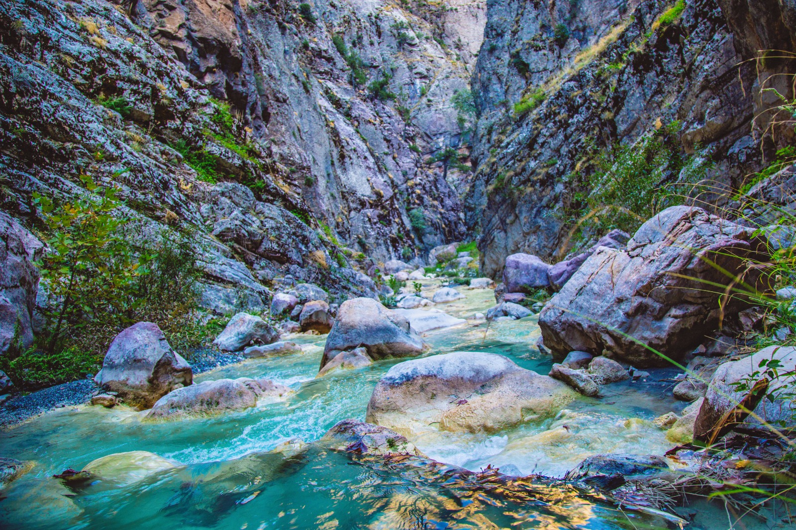 Çatak Kanyonu Orman Parkı