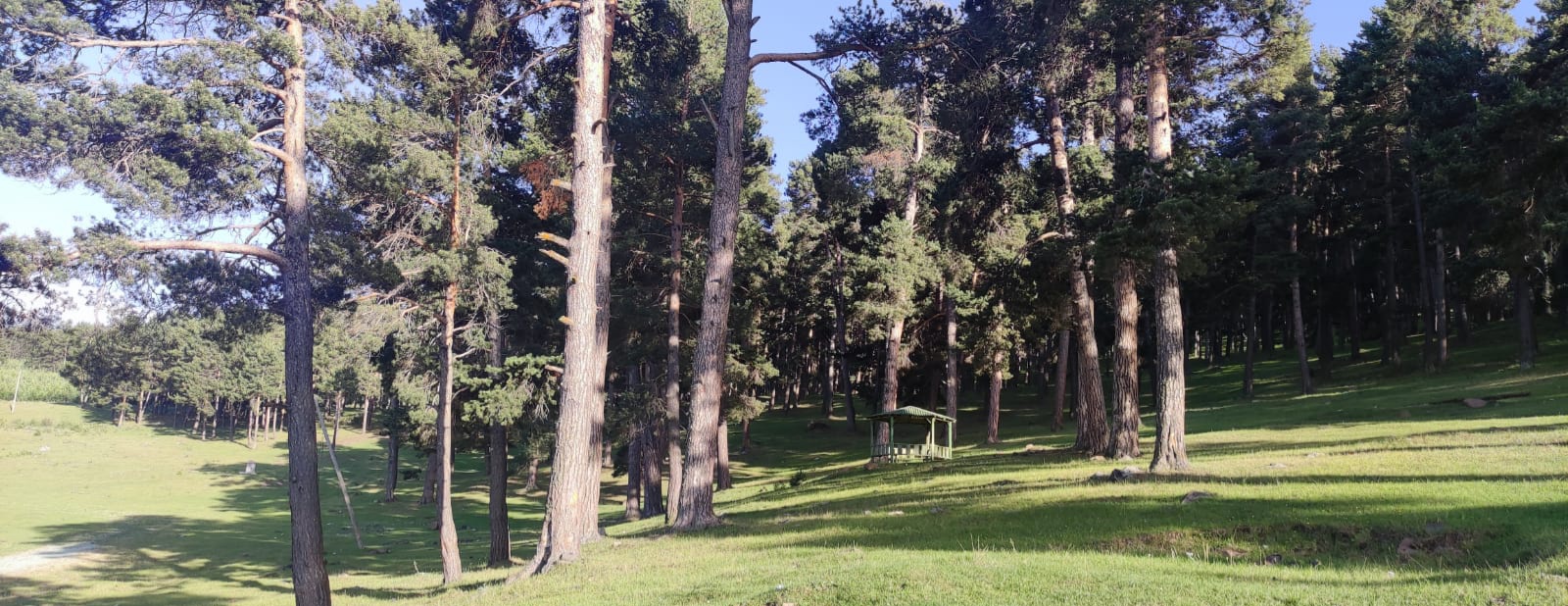 Göle Orman Parkı