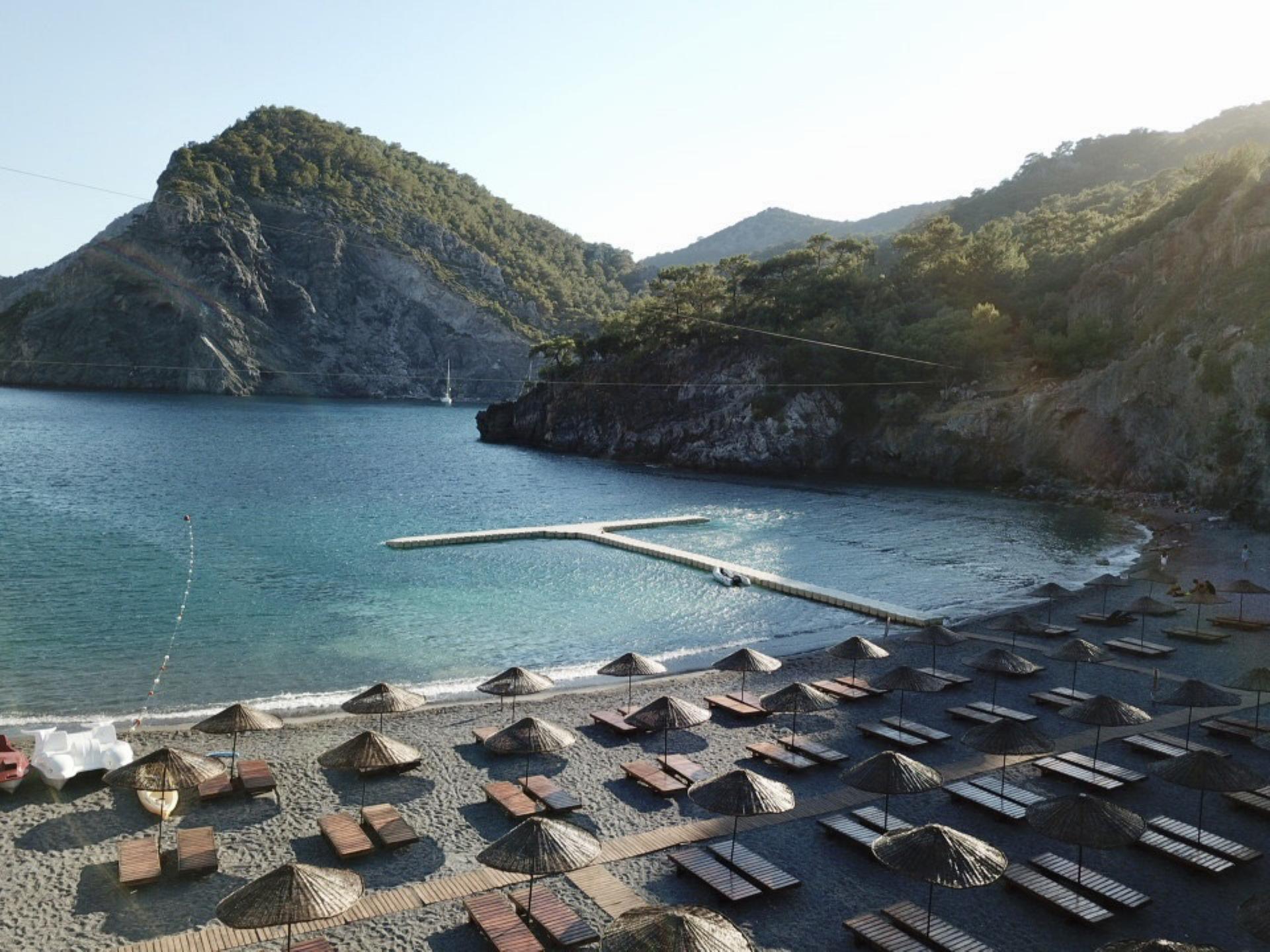 Aşı Koyu Orman Parkı