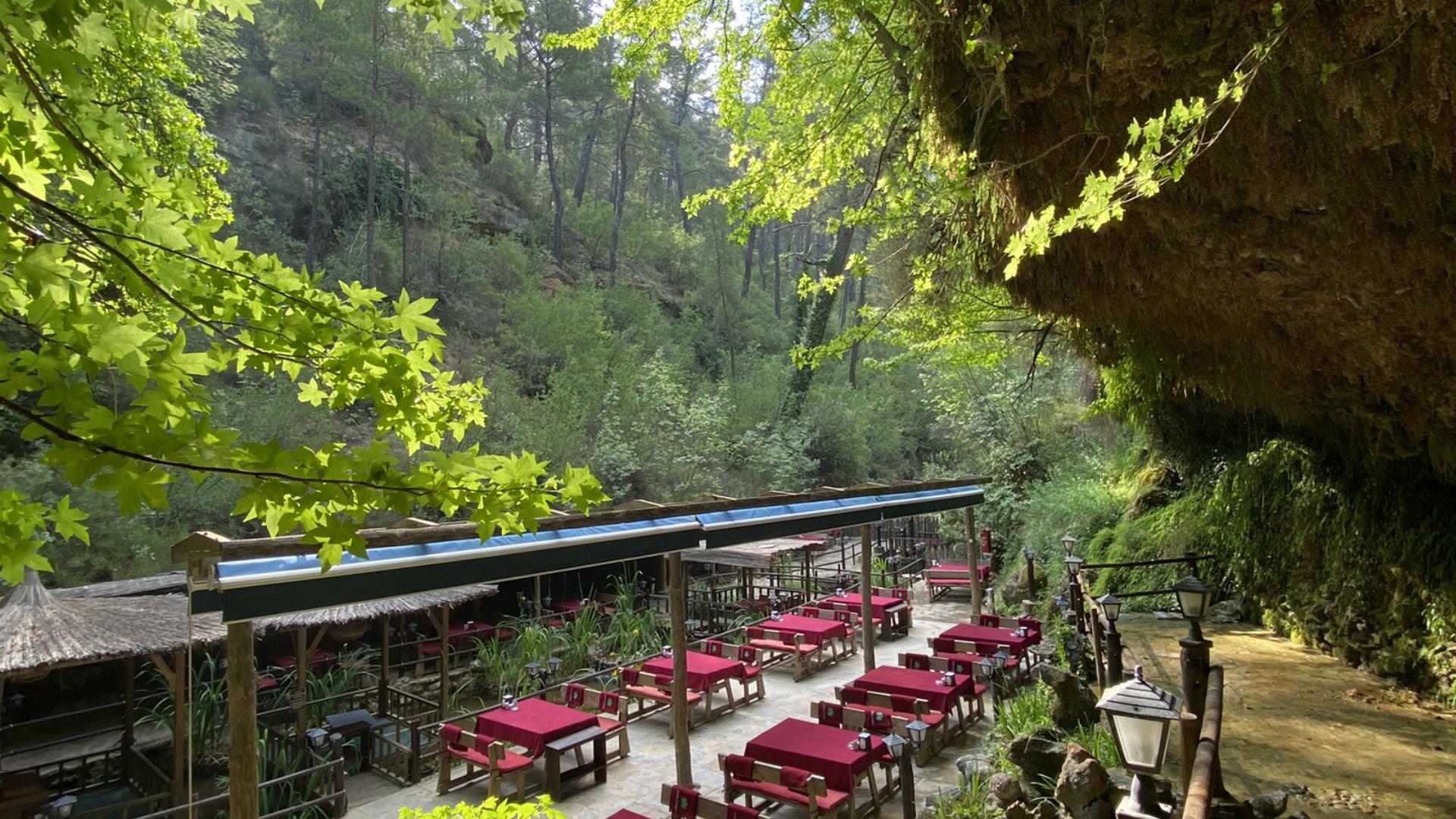 Damla Deresi Orman Parkı