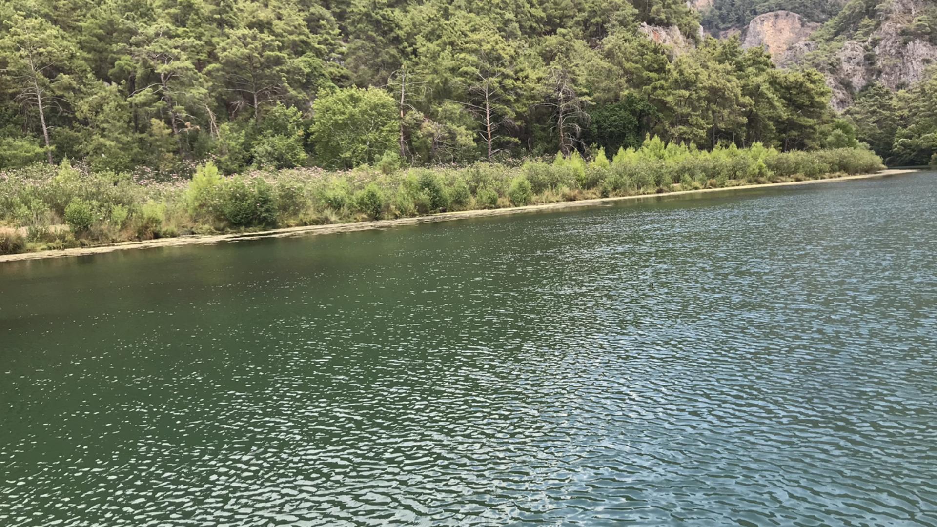 Akkaya Orman Parkı