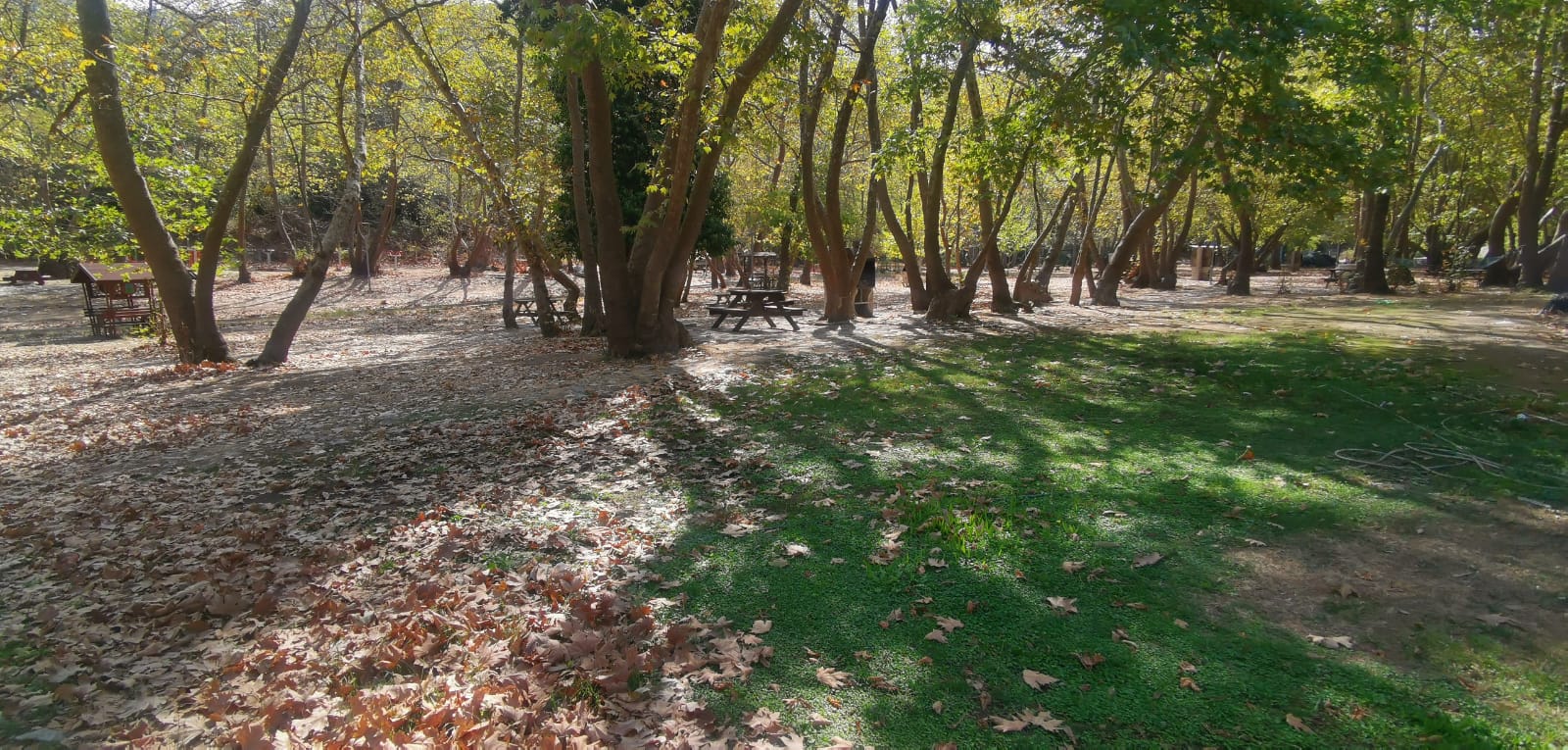 Saraylar Orman Parkı
