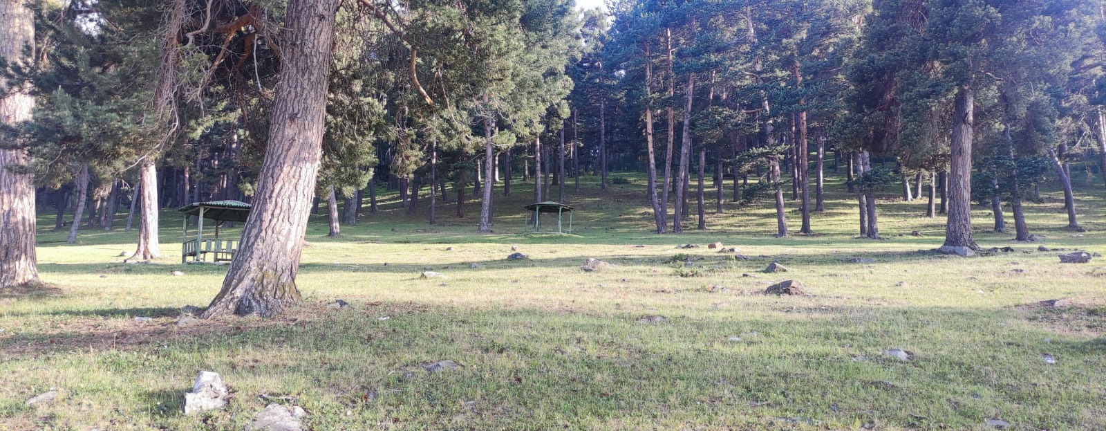Göle Orman Parkı