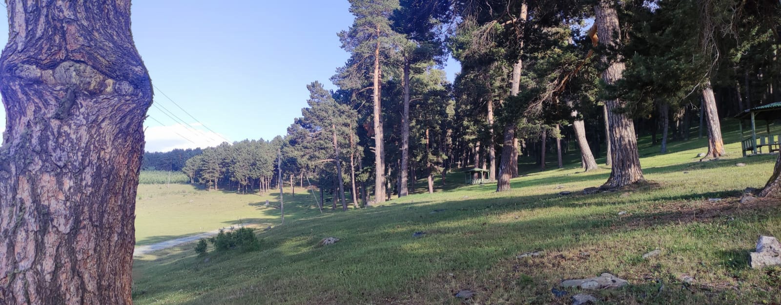 Göle Orman Parkı