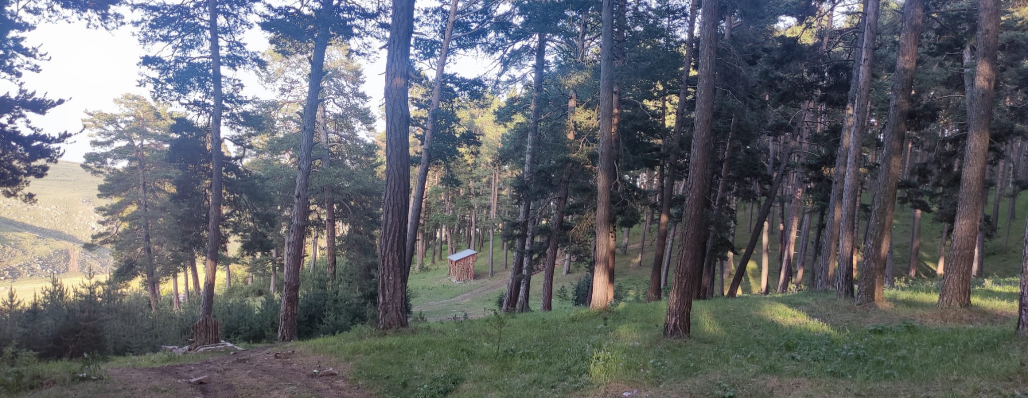 Çakırüzüm Orman Parkı