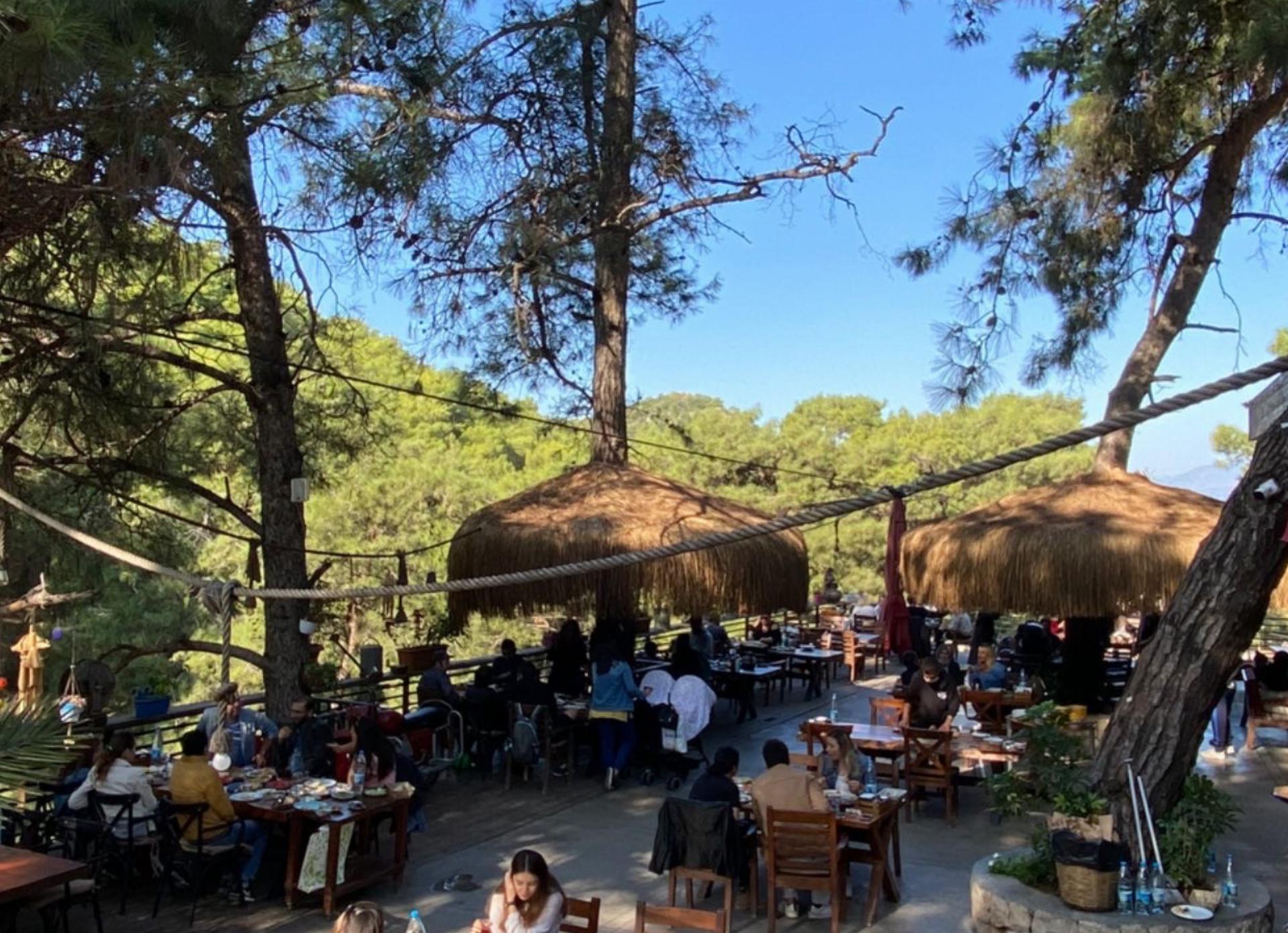 Oluklu Orman Parkı