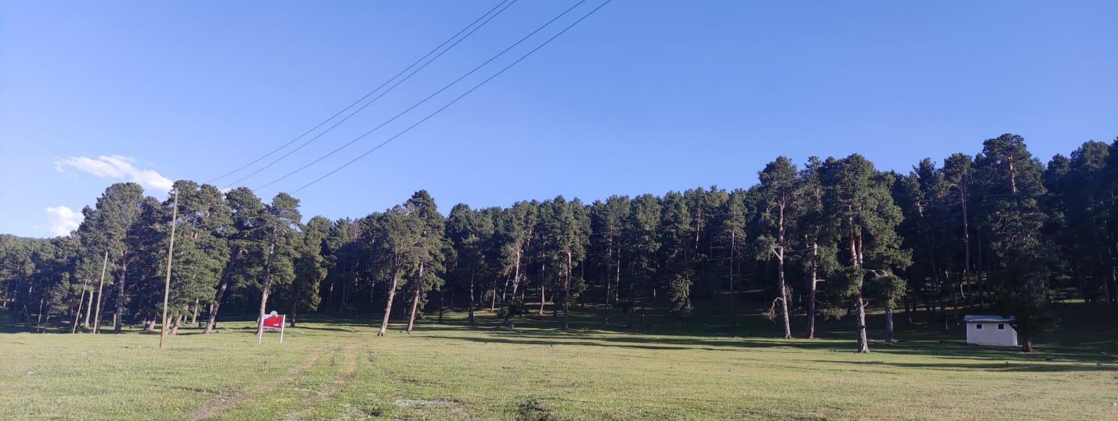 Göle Orman Parkı