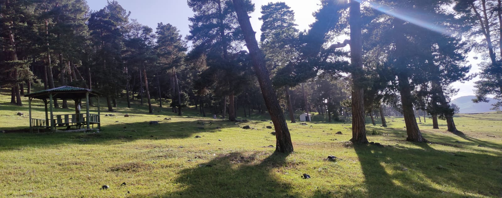 Göle Orman Parkı