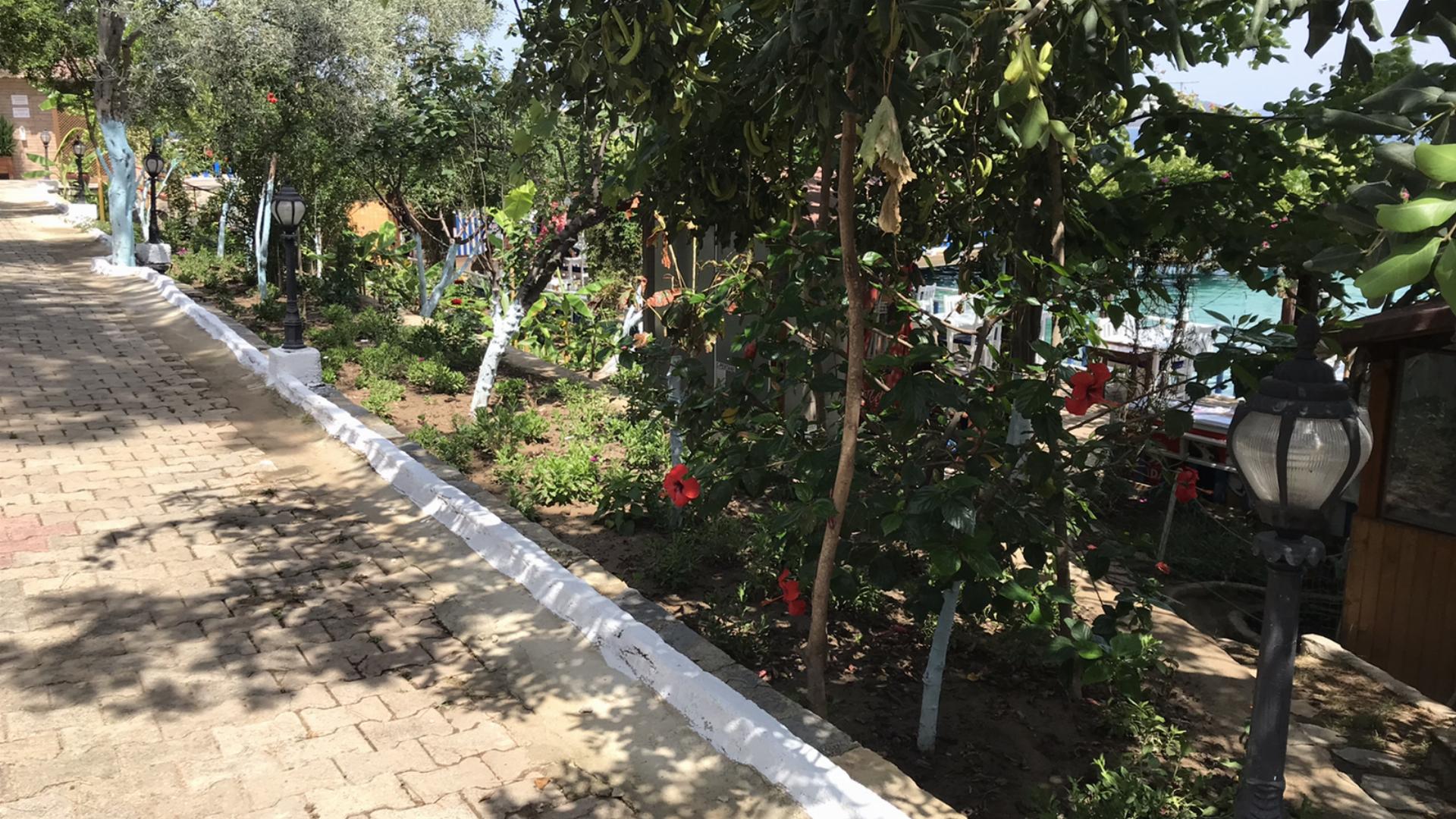 Sıralık Orman Parkı