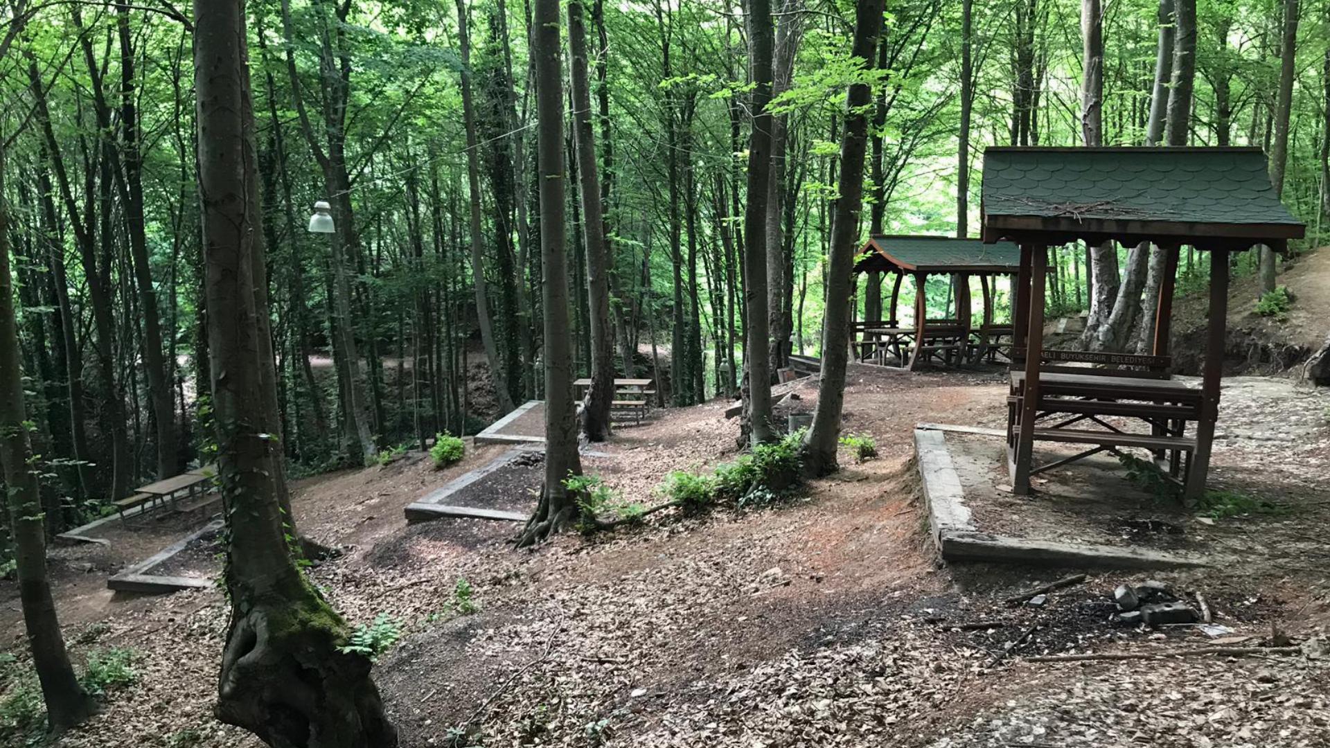 Dümbüldek Pınarı Orman Parkı