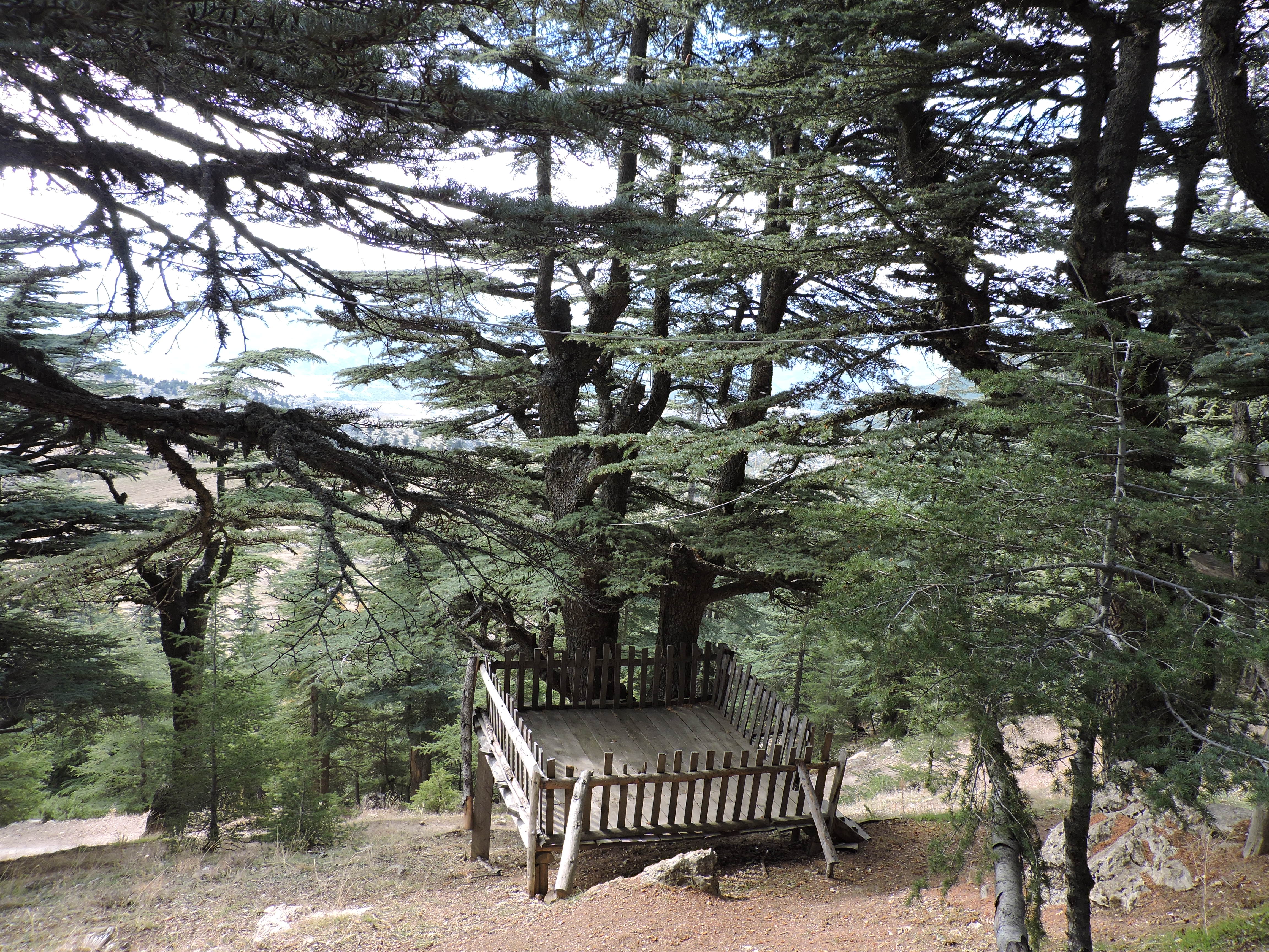 Halimingölü Orman Parkı