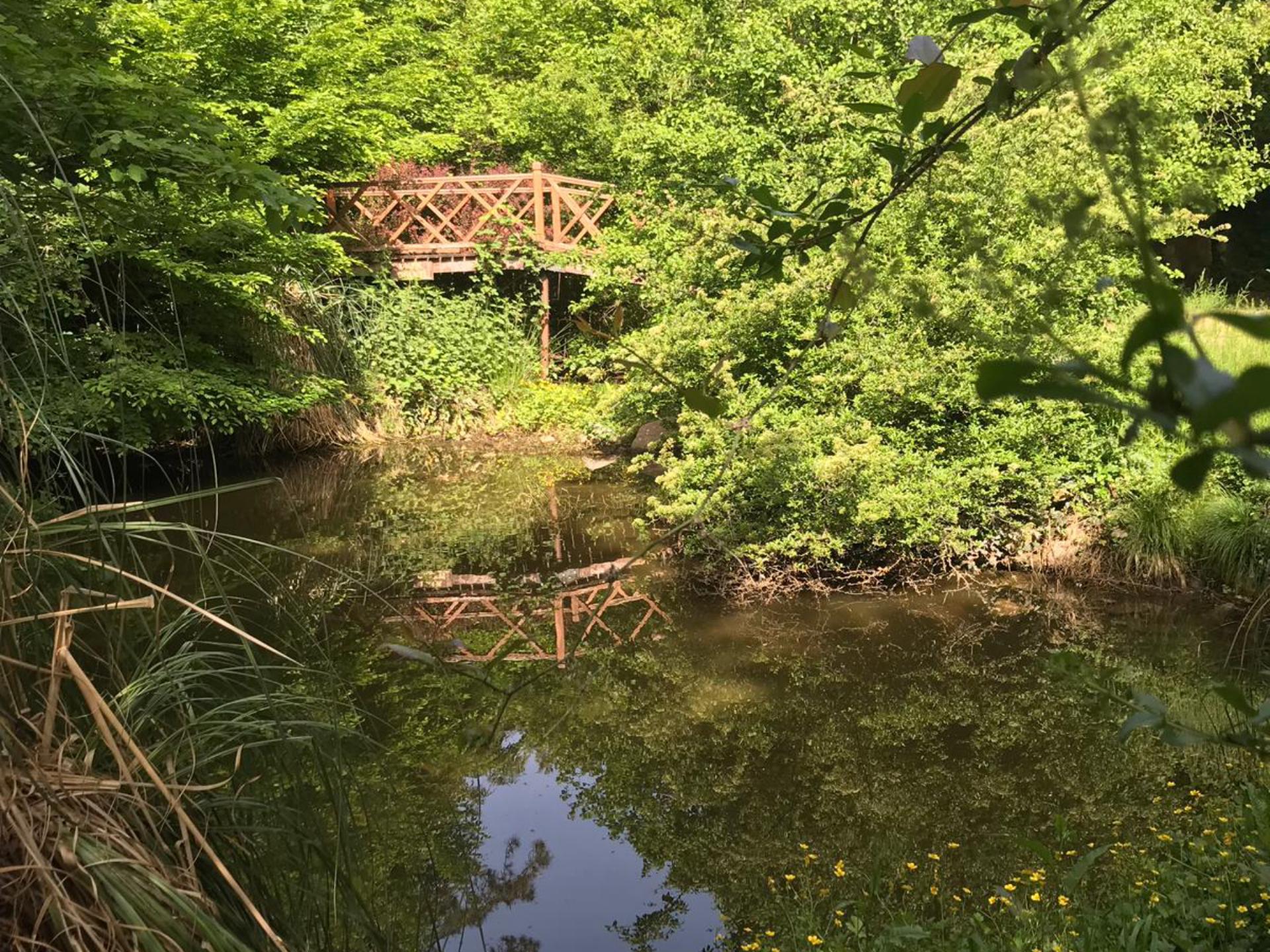 Kocaeli Orman Parkı
