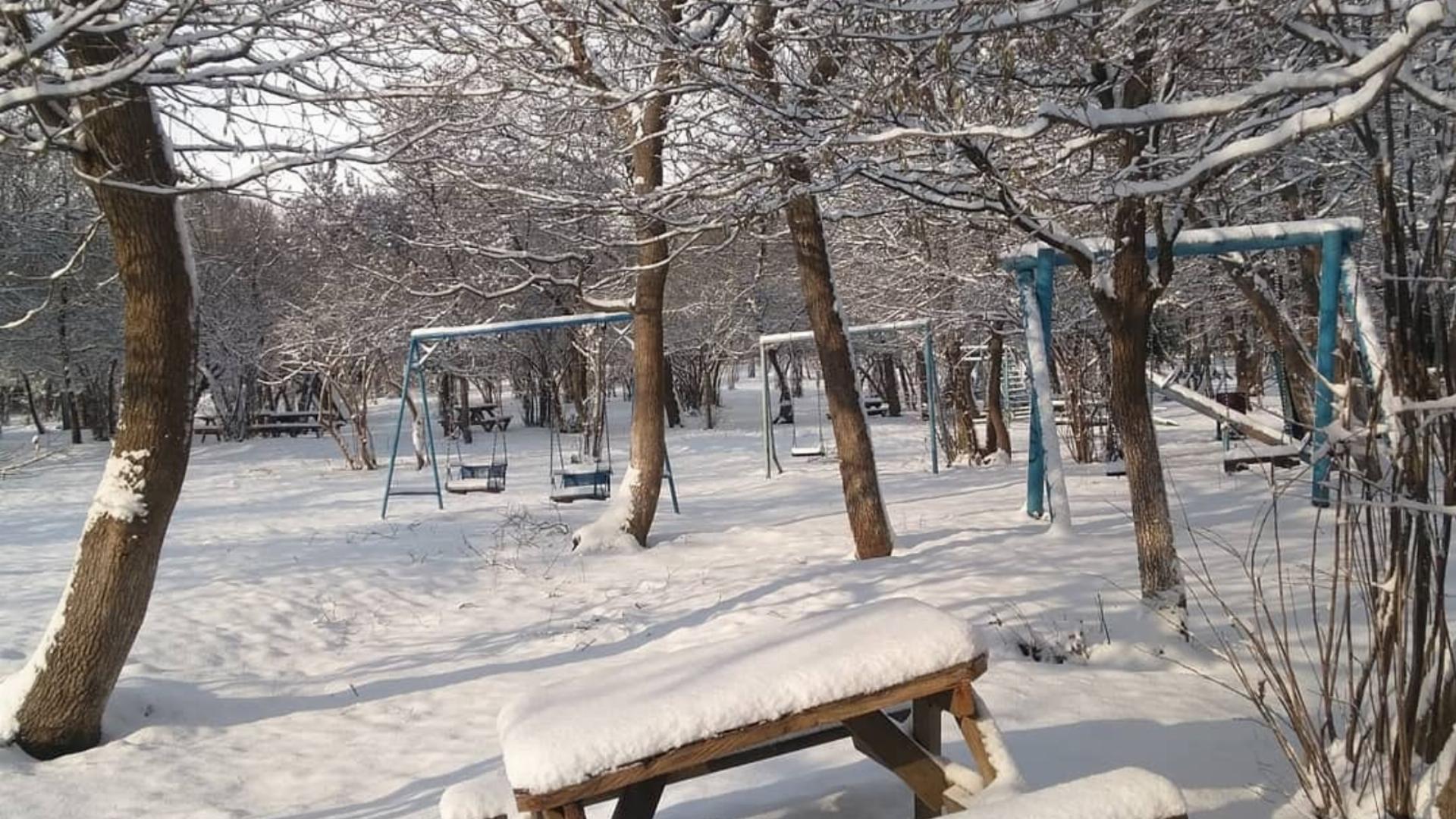 Baklalı Germe Altı Orman Parkı