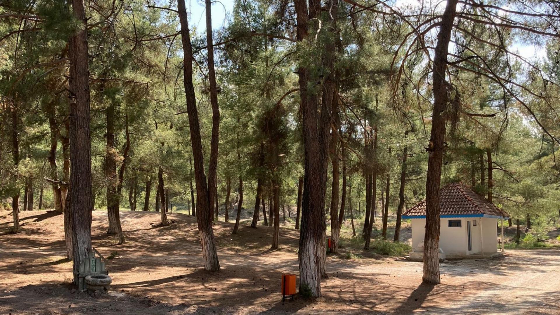 Karacaoluk Orman Parkı