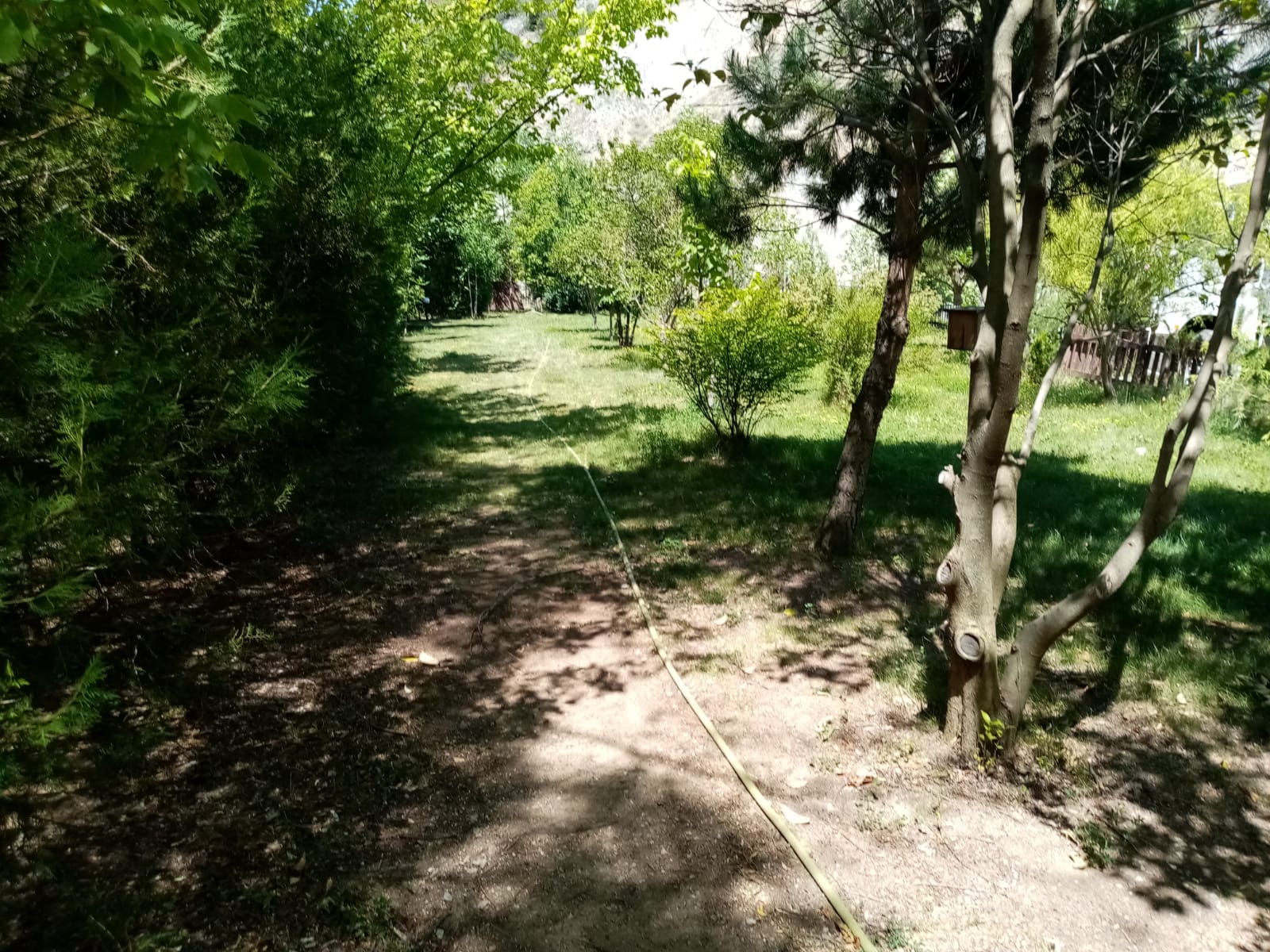 125. Yıl Atatürk Çeşmesi Orman Parkı