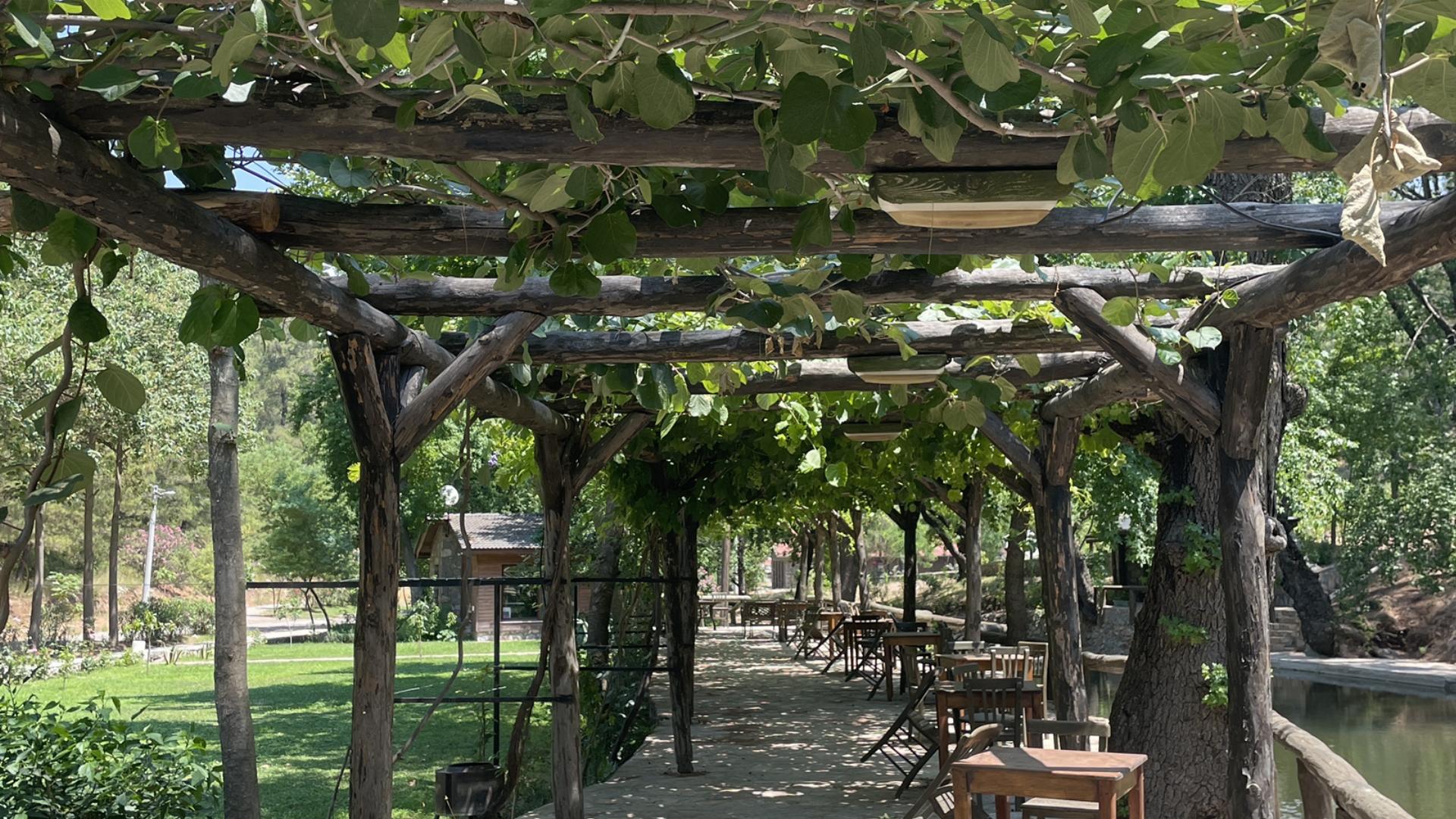 Kırcagedre  Orman Parkı