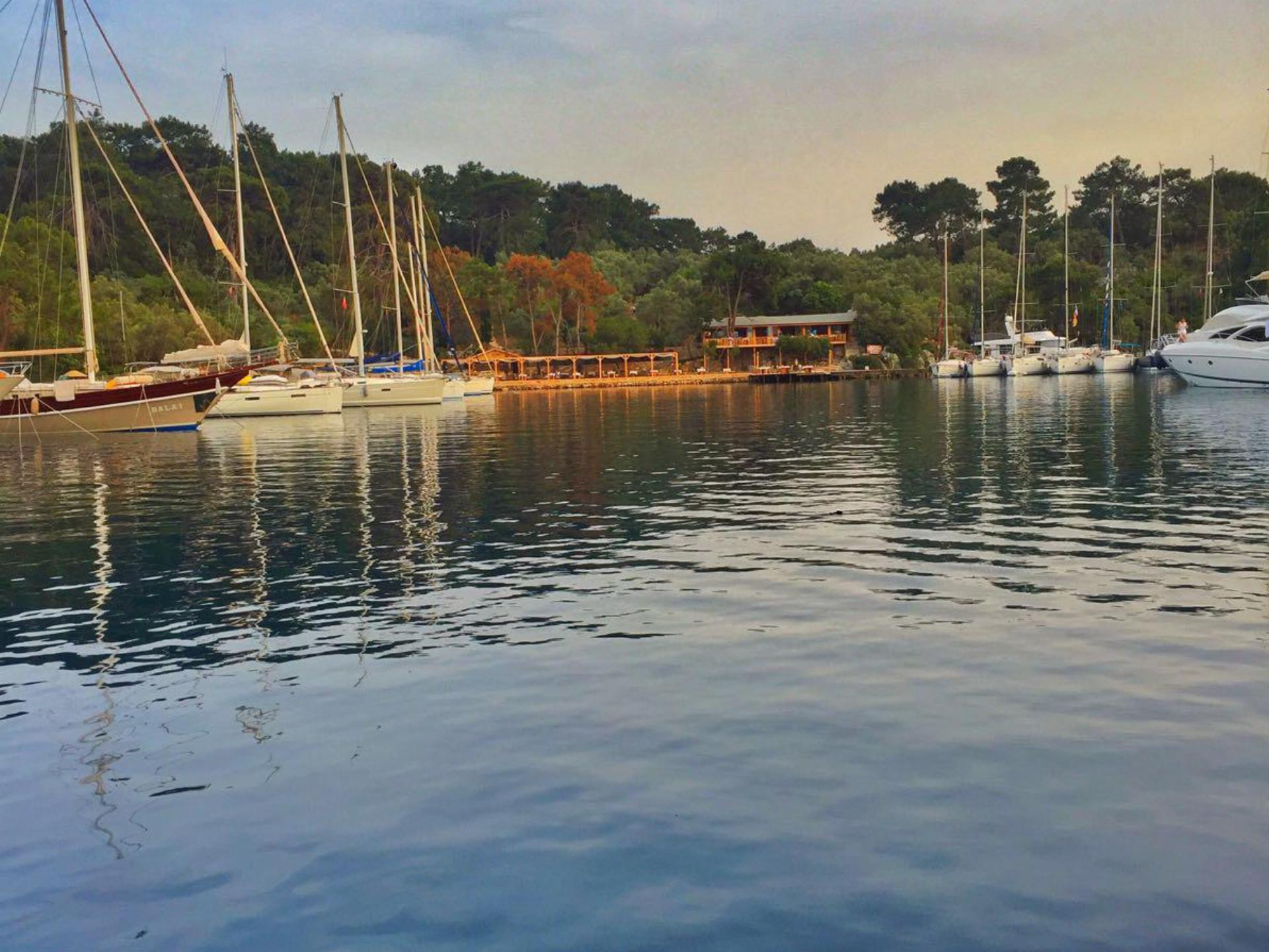 Göbün Orman Parkı