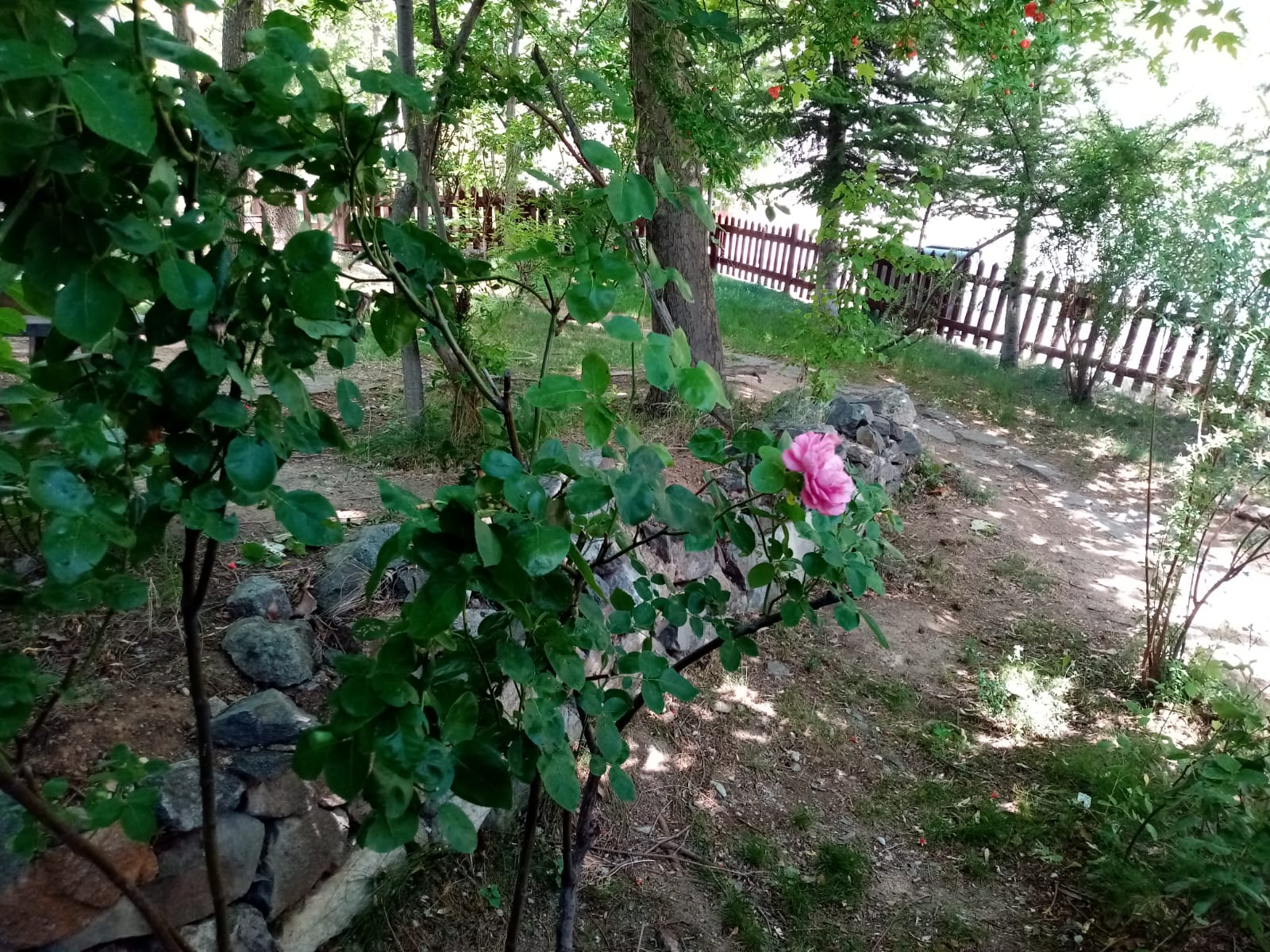 125. Yıl Atatürk Çeşmesi Orman Parkı